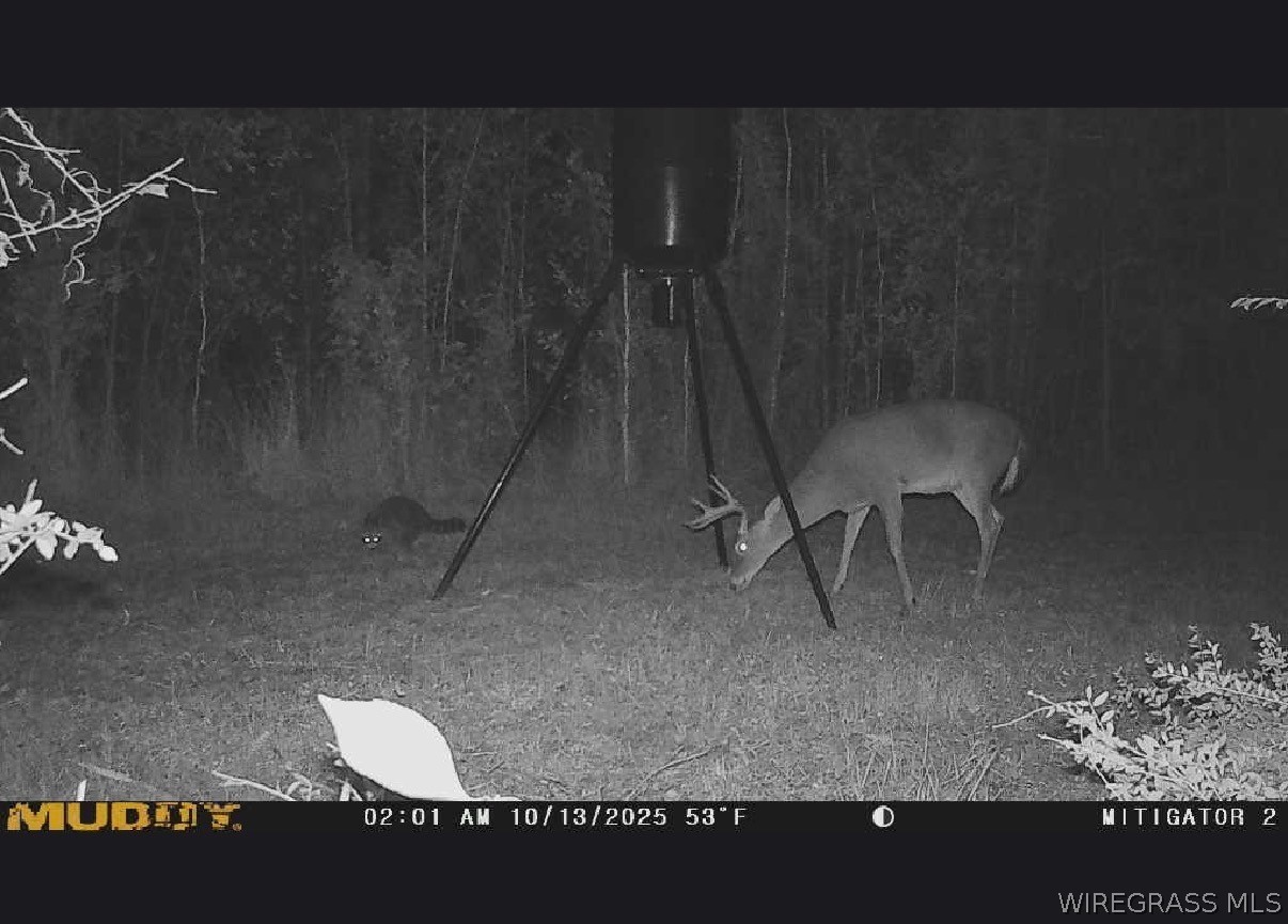 2543 S County Road 65 .