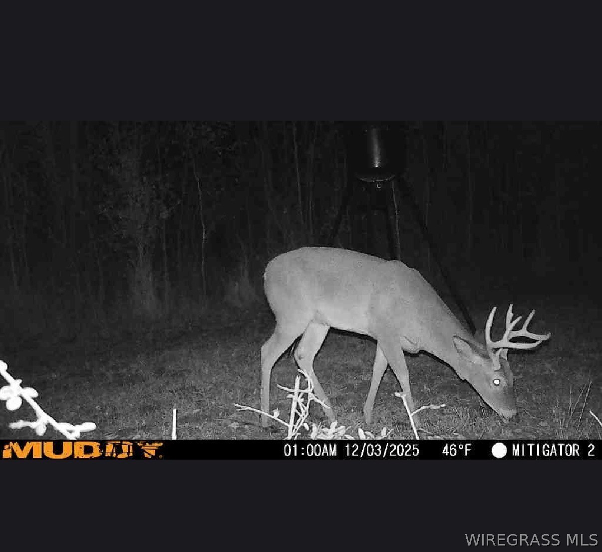2543 S County Road 65 .