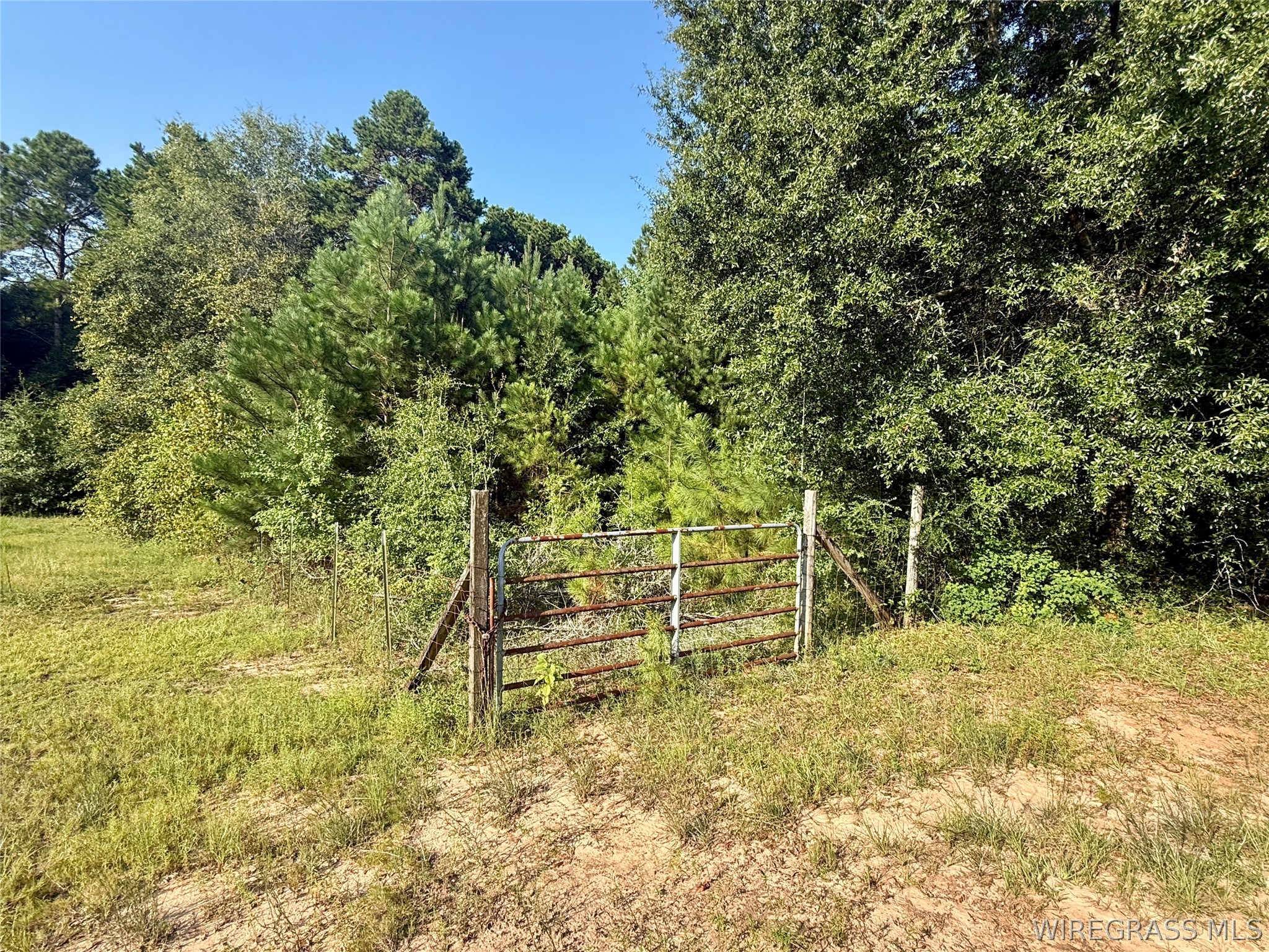 2.73 Acres County Road 40 .