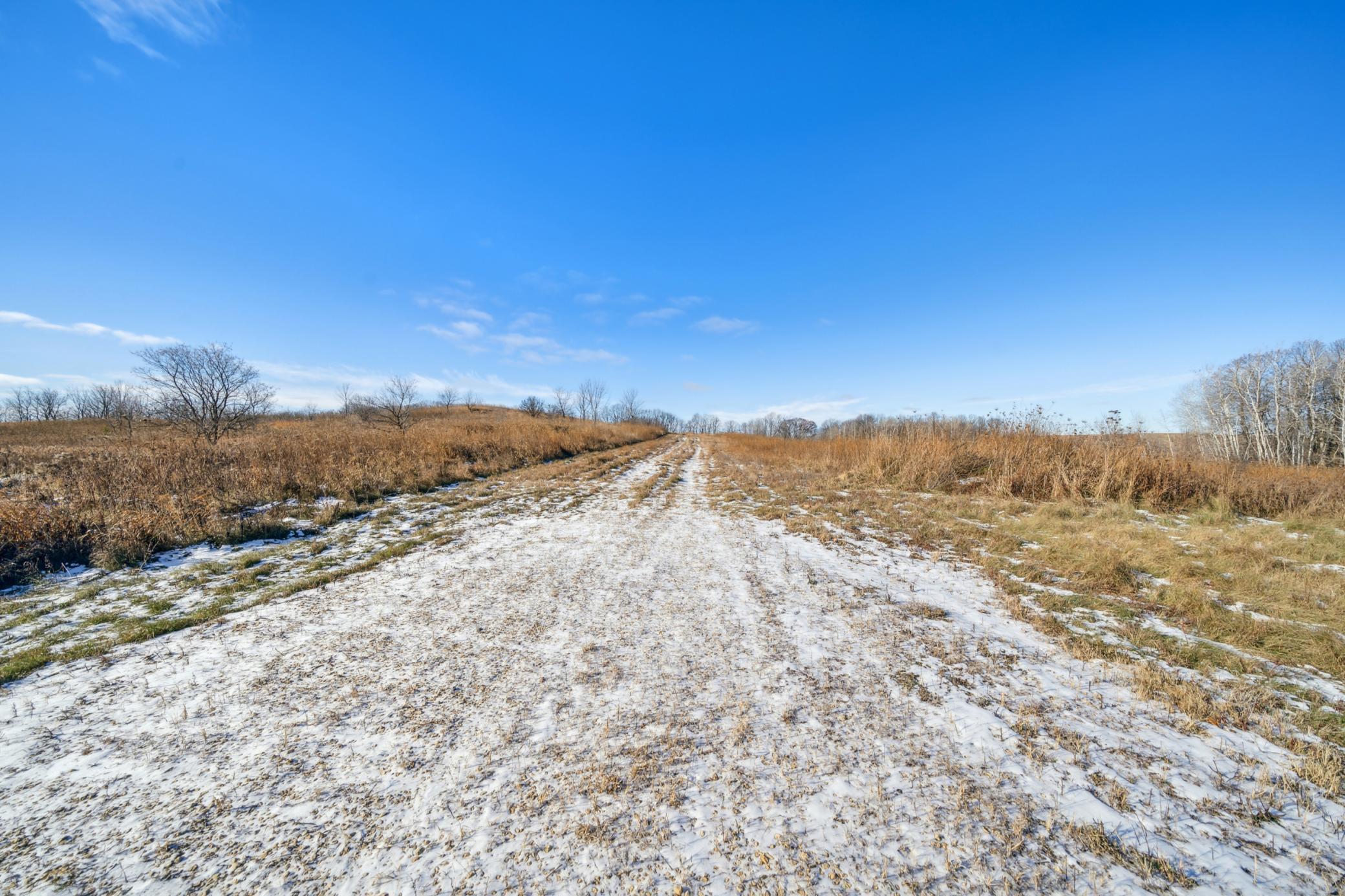 170 Surrey Ridge Trail