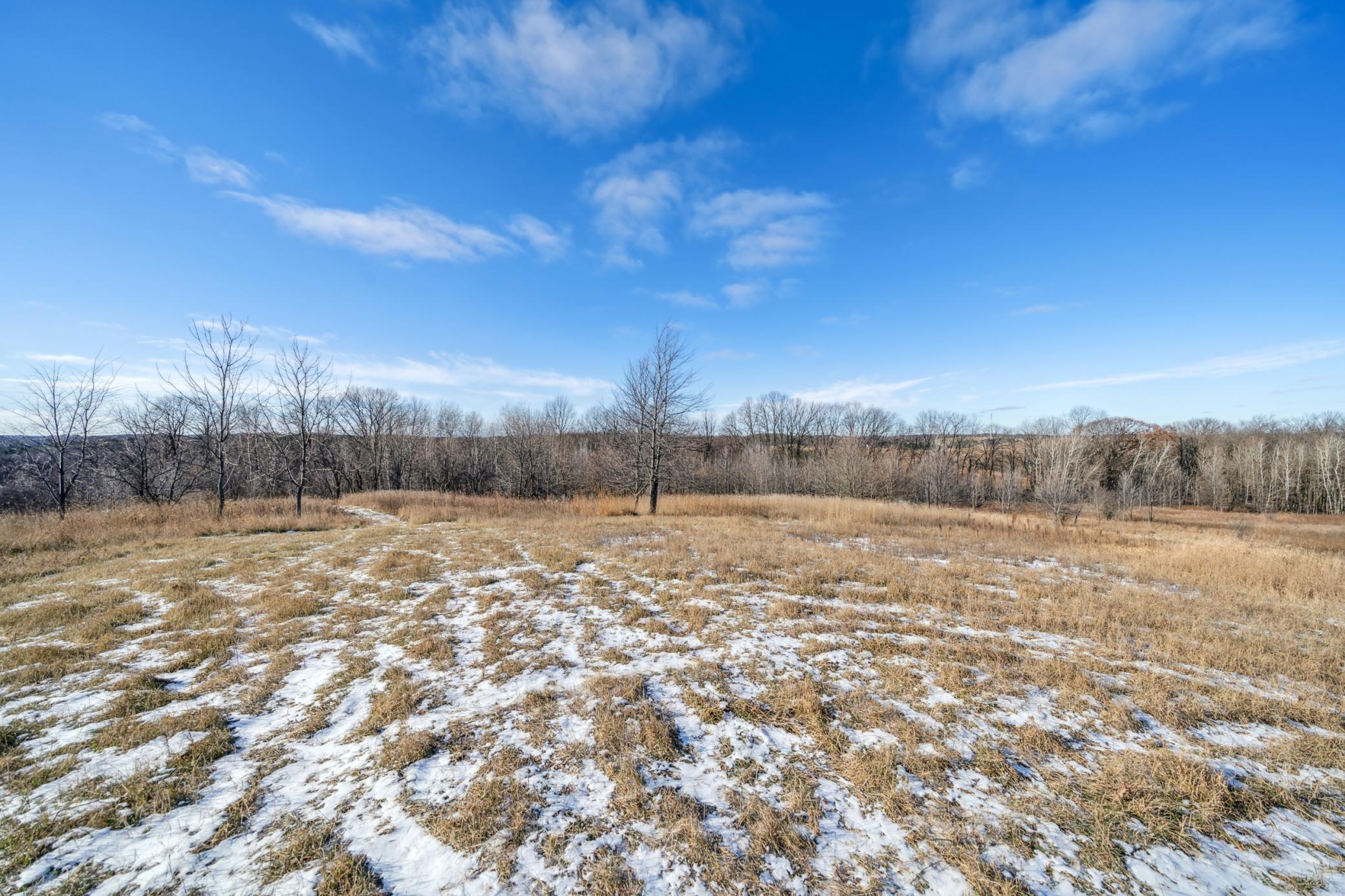 170 Surrey Ridge Trail