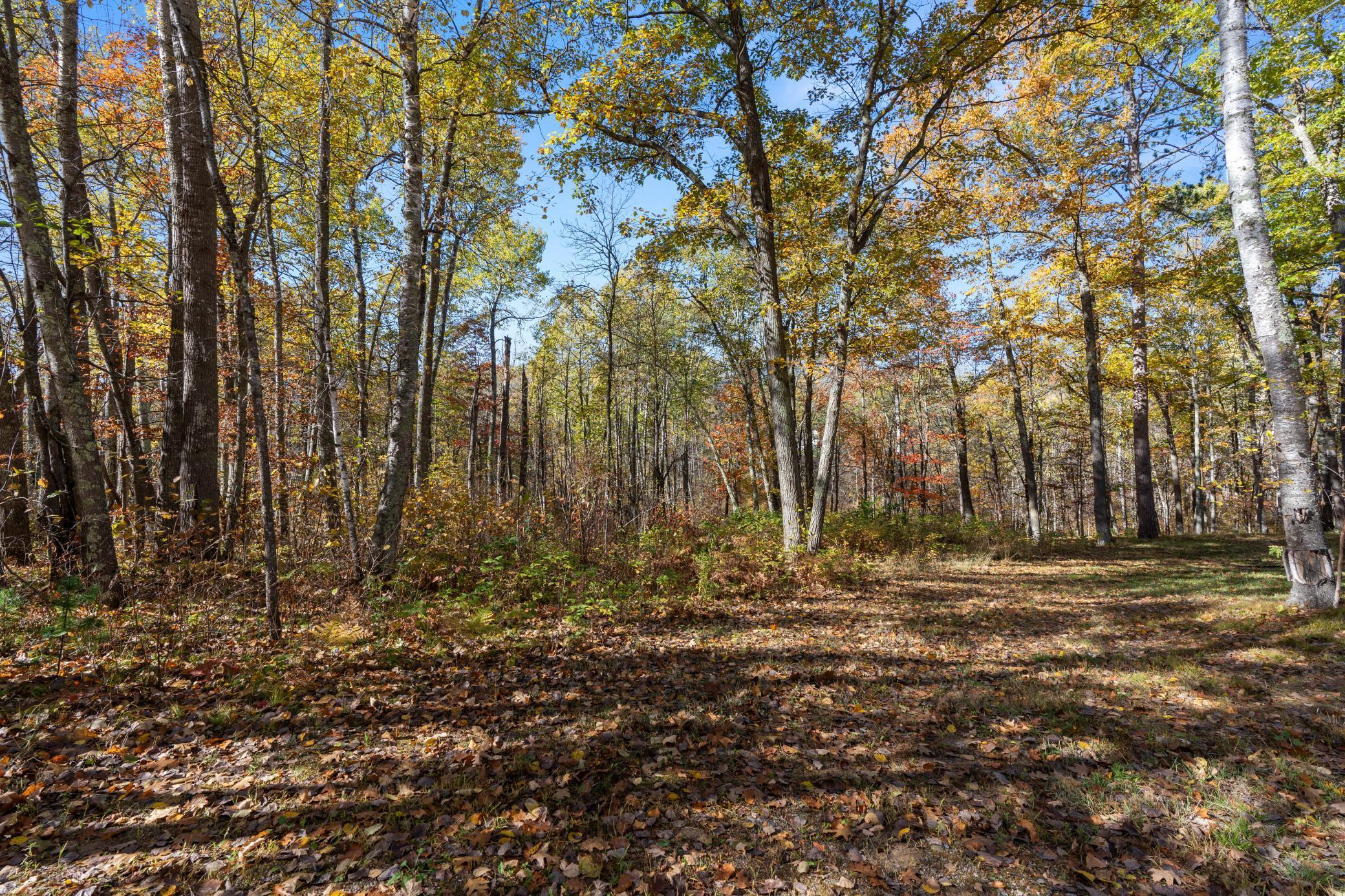 40401 Little Pine River Road