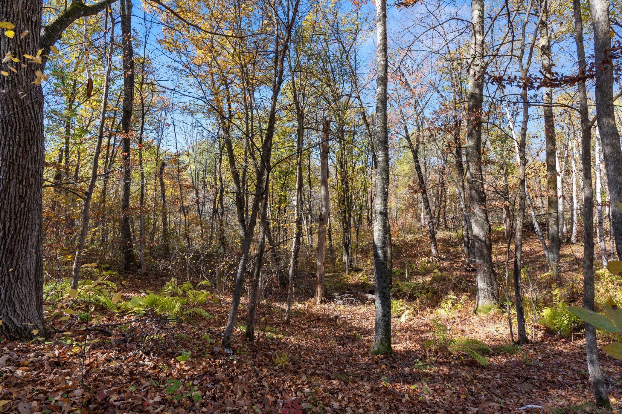 40401 Little Pine River Road