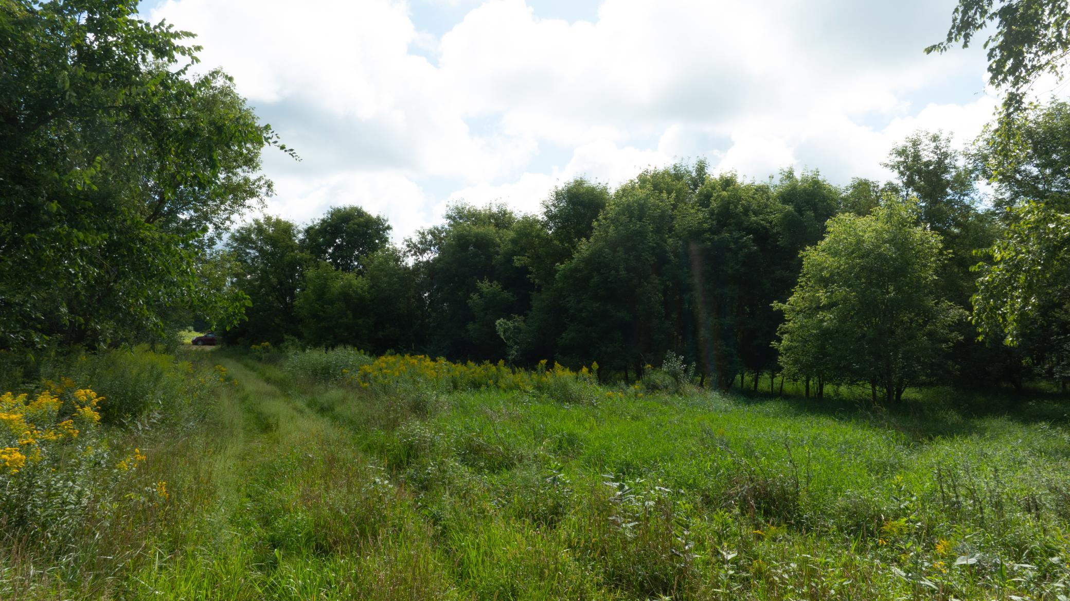 Lot 2 280th Street