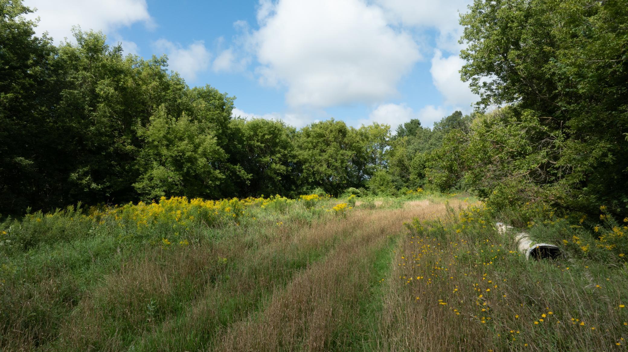 Lot 2 280th Street