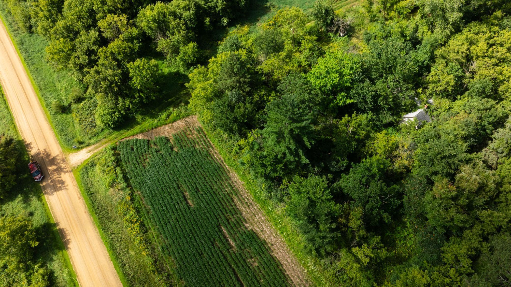 Lot 2 280th Street