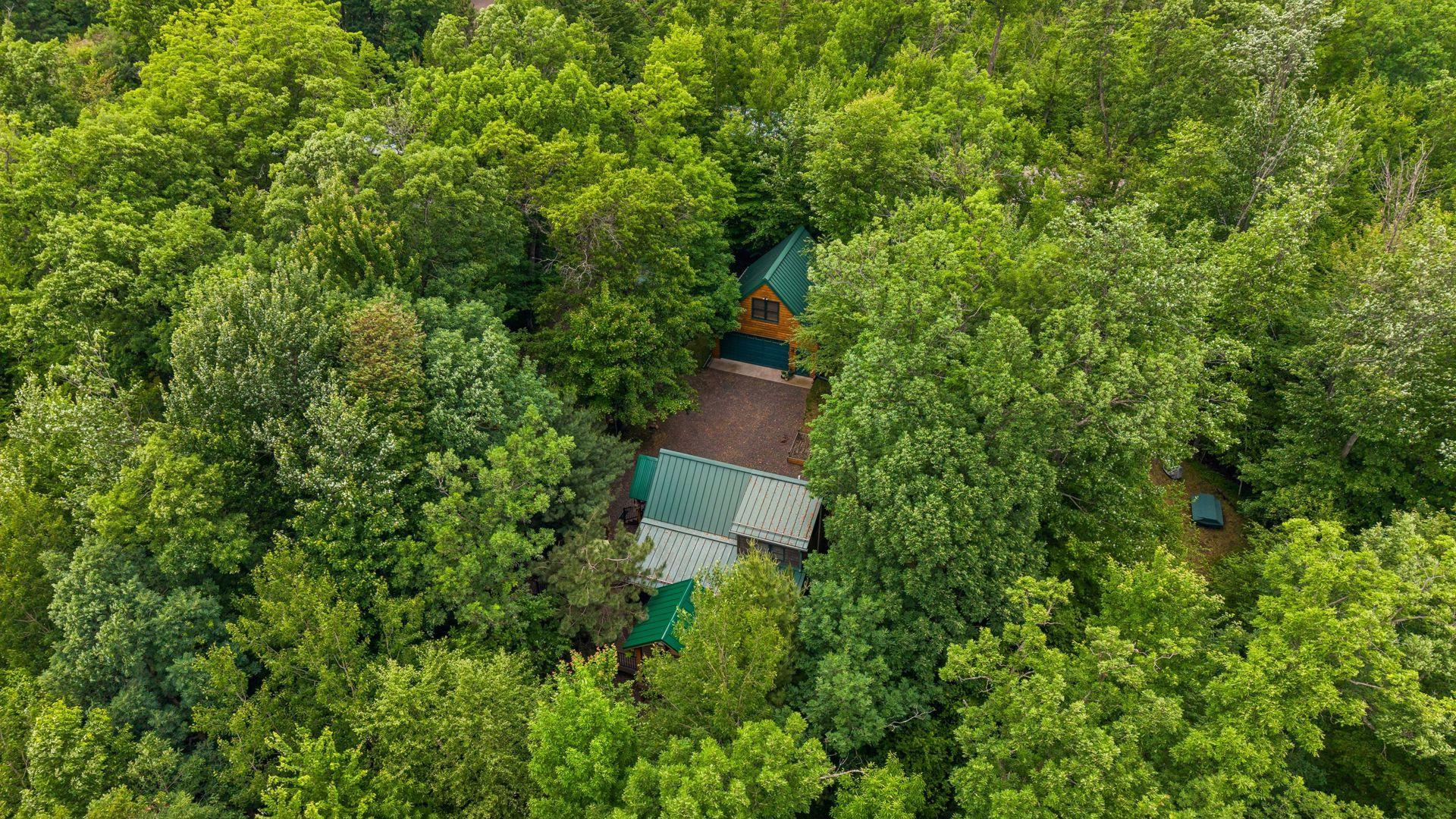 7125 Rainbow Lane