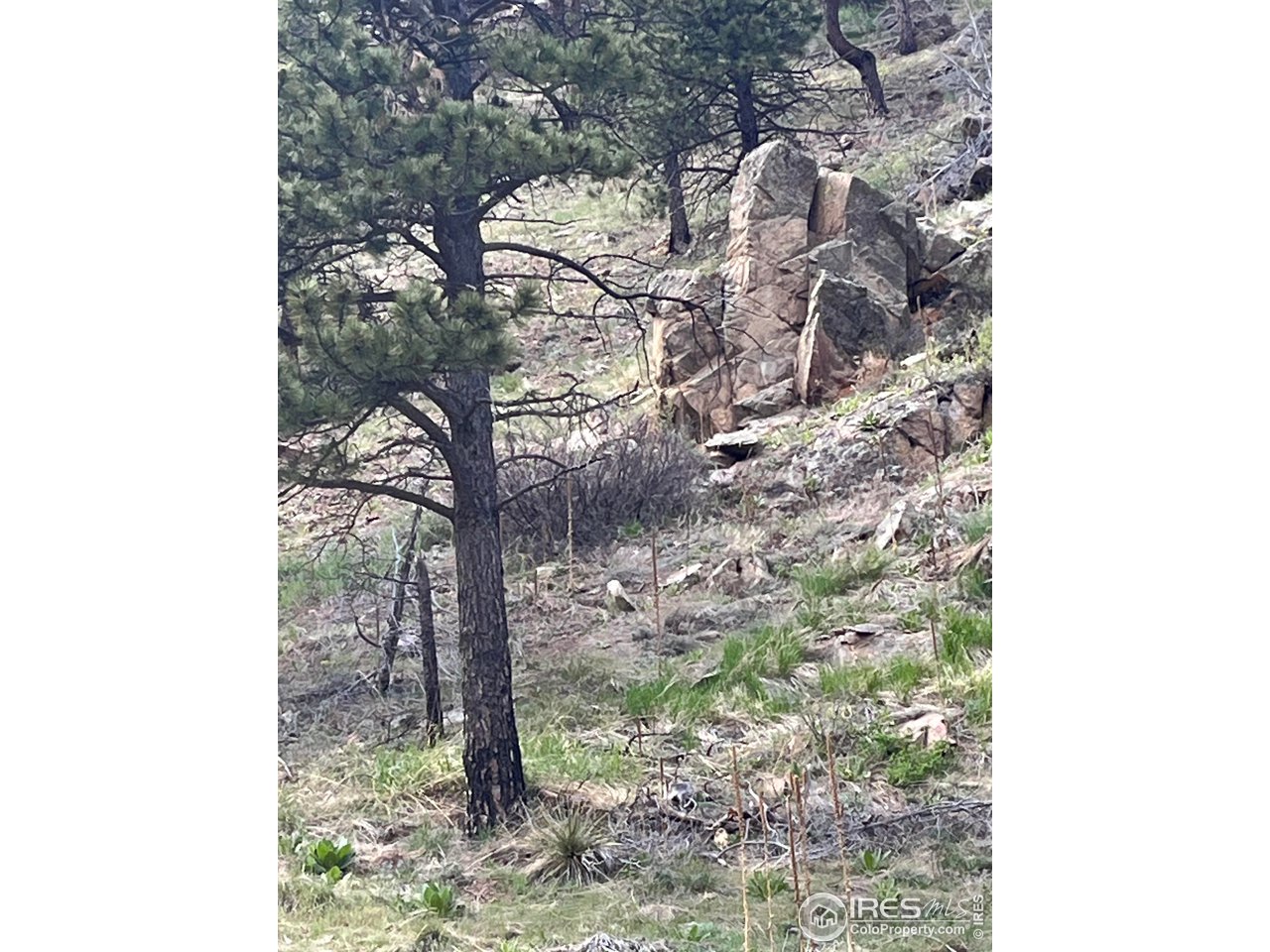 7400 Fourmile Canyon Dr