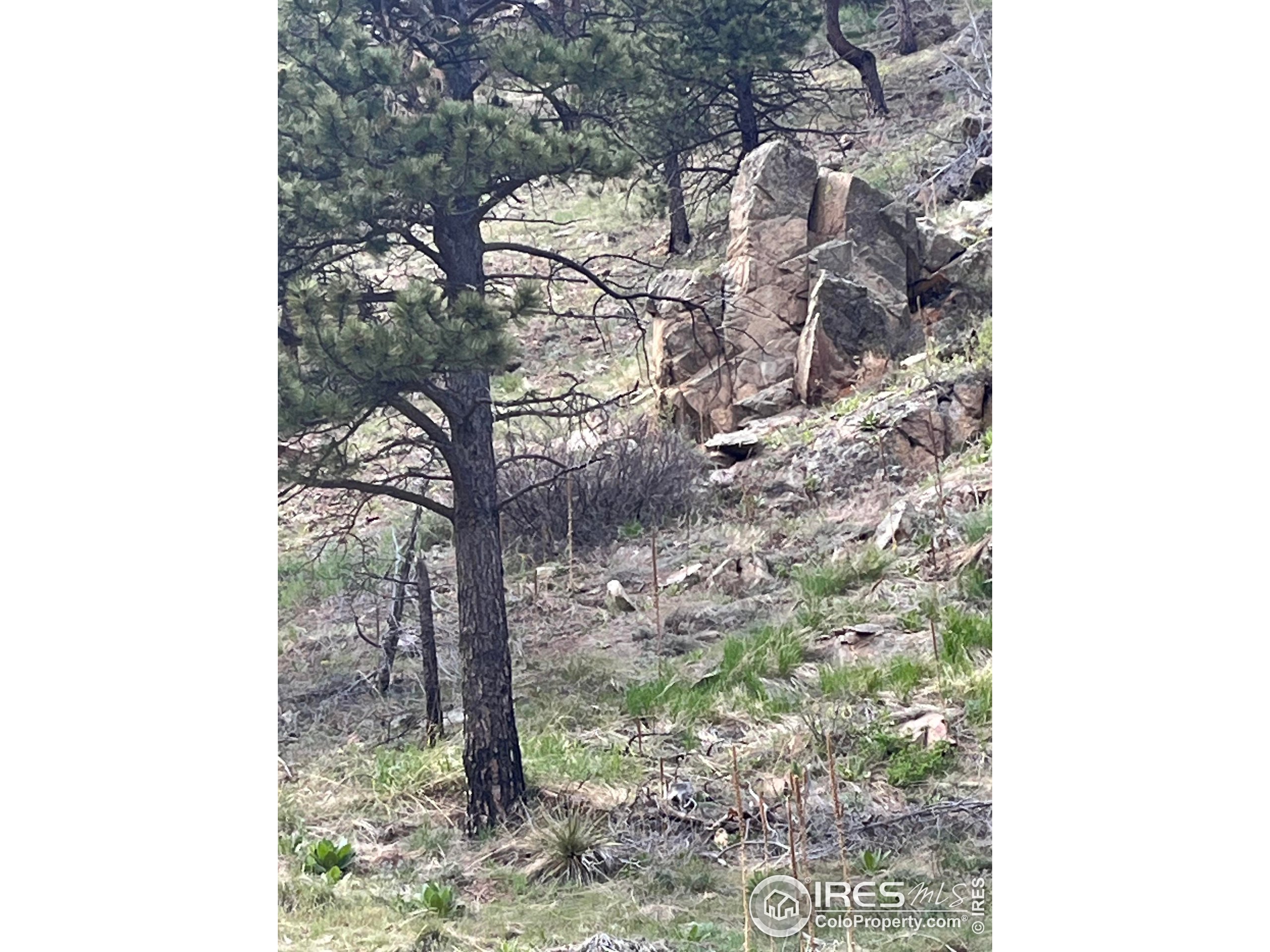 7400 Fourmile Canyon Dr