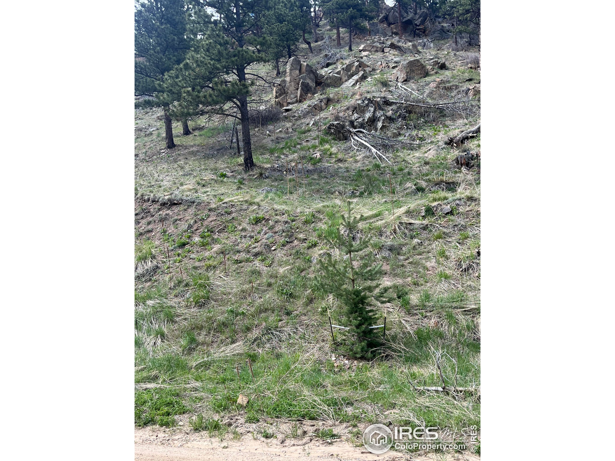 7400 Fourmile Canyon Dr