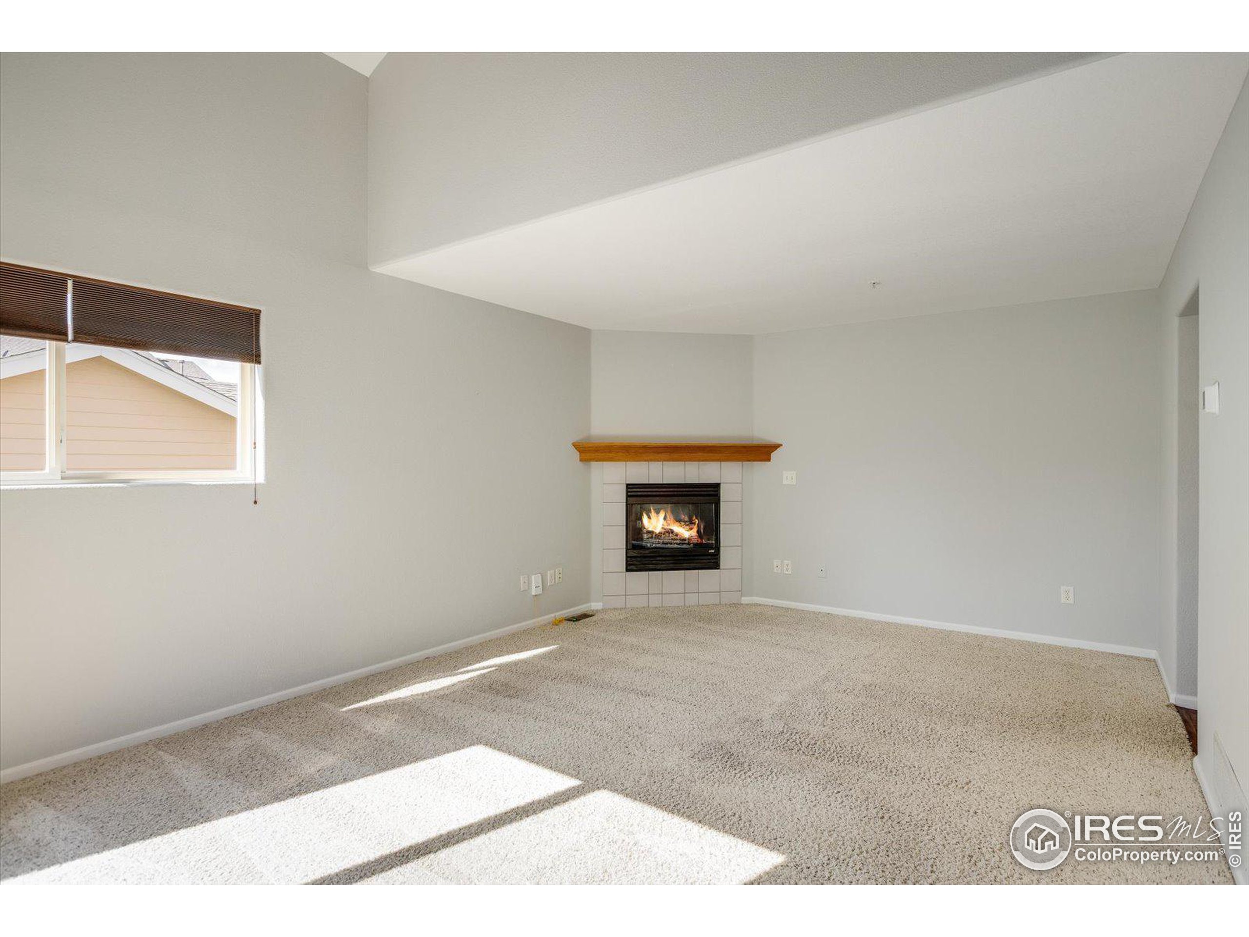 1601 Great Western Dr Unit: 3