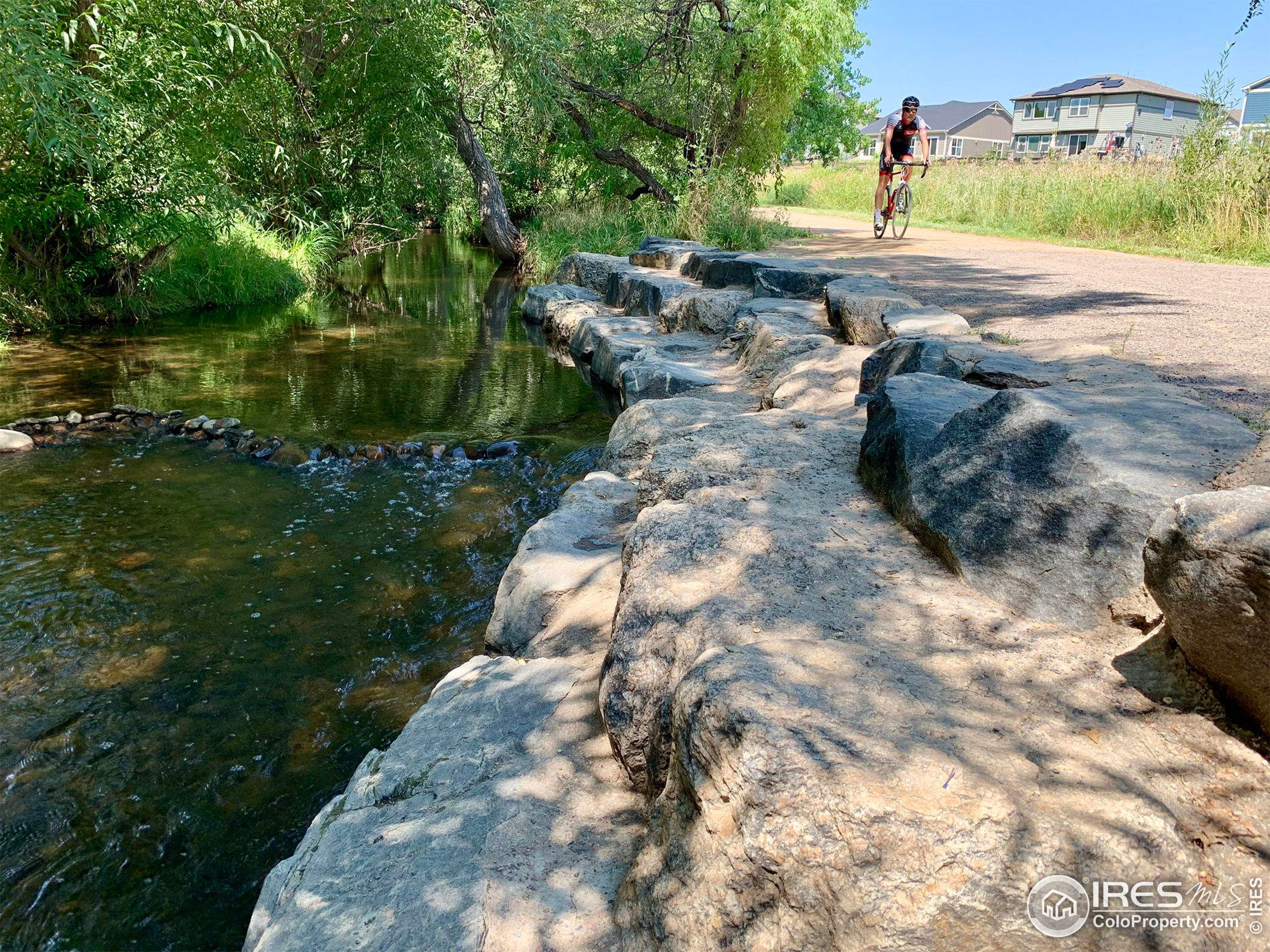 1108 Elysian Field Dr Unit: A