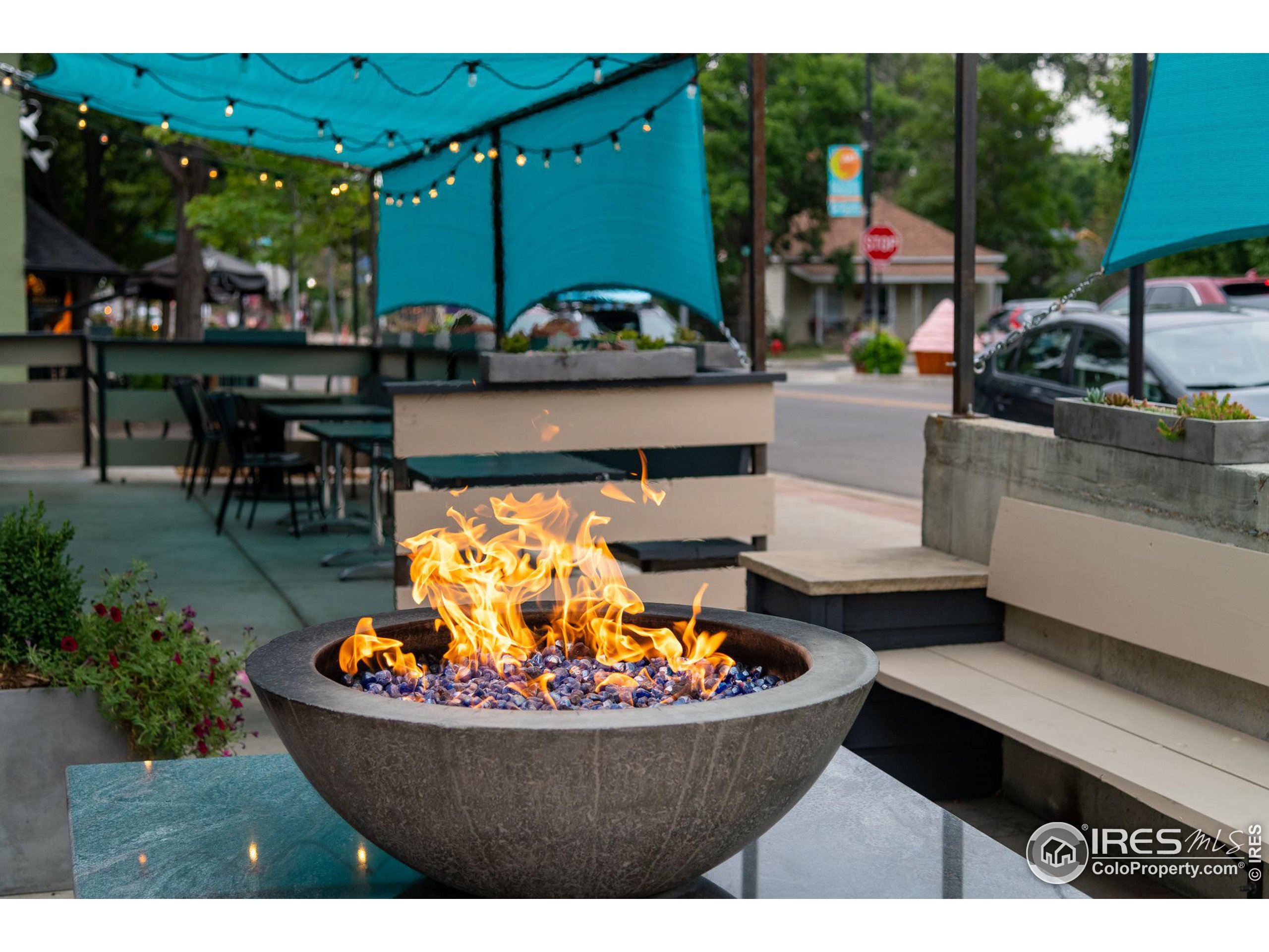 1108 Elysian Field Dr Unit: A