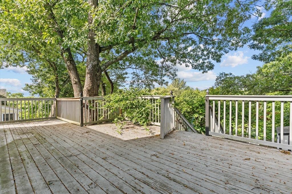 104 Woodland Rd.