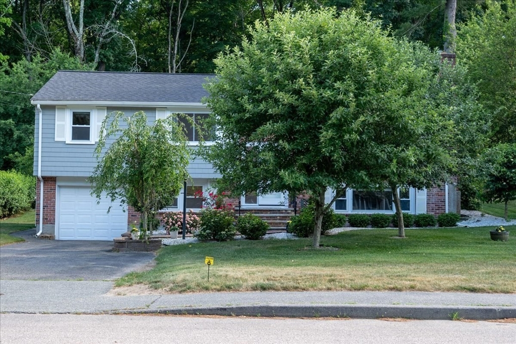 37 Lantern Ln.