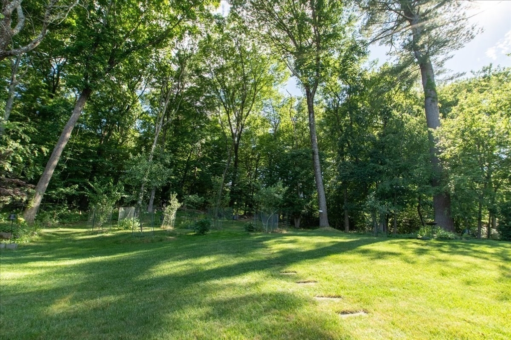37 Lantern Ln.