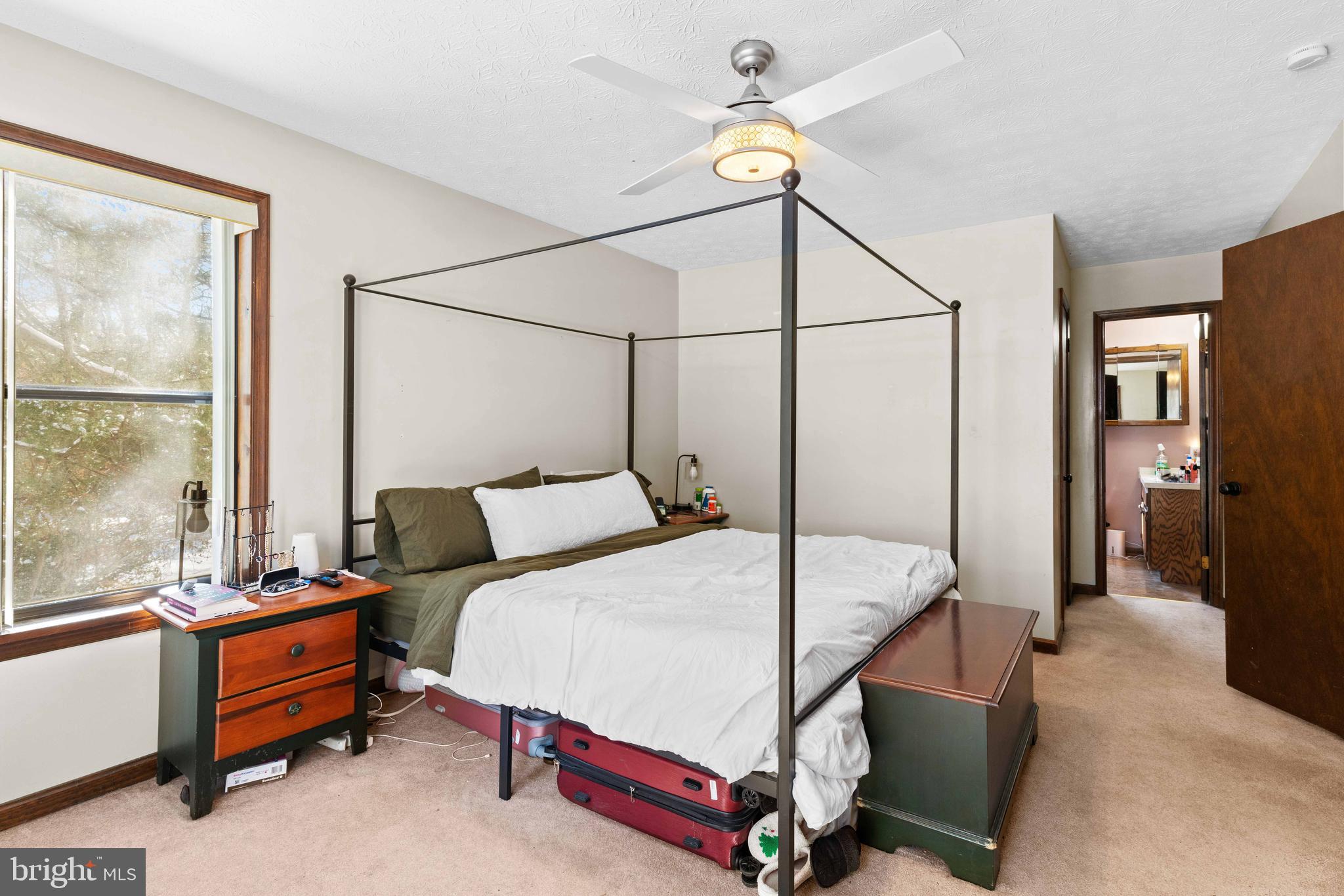 44533 WHITE PINE COURT