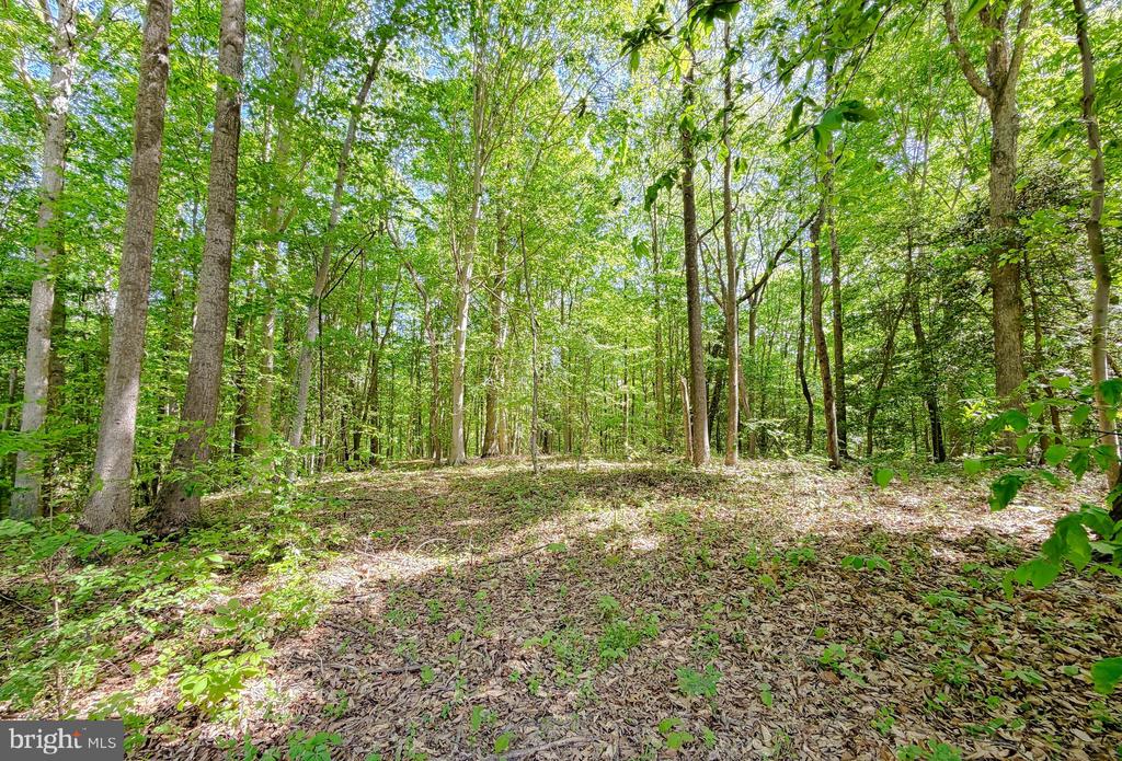 24815 HILL FARM LANE