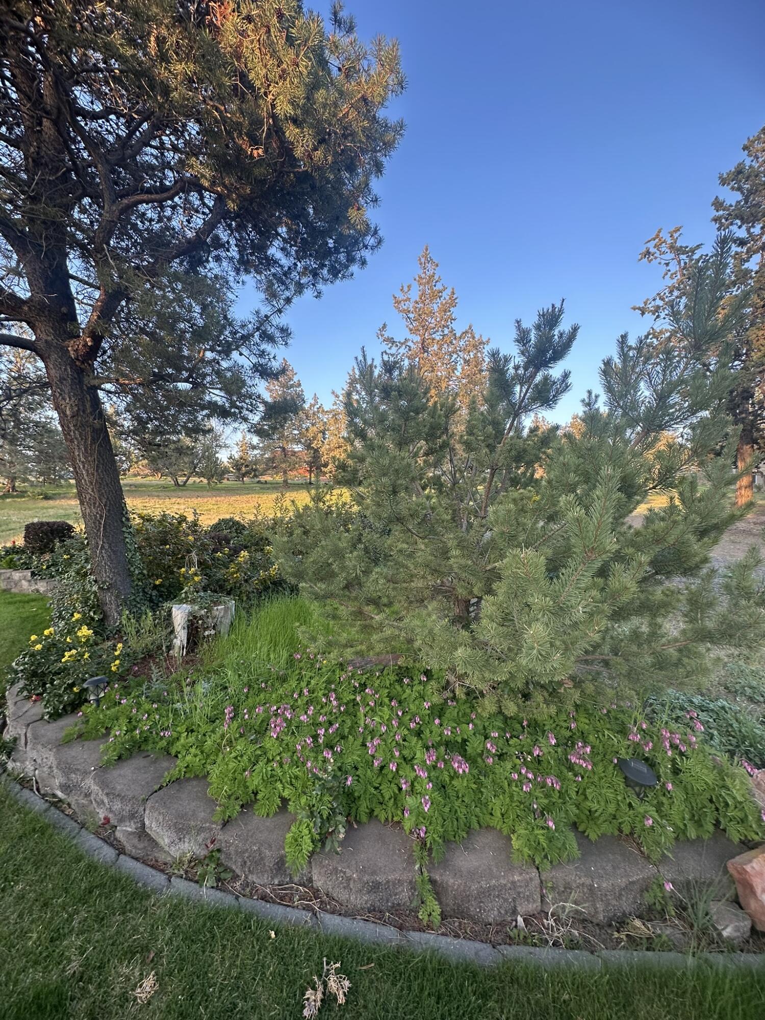 165 SW Crestview Lane