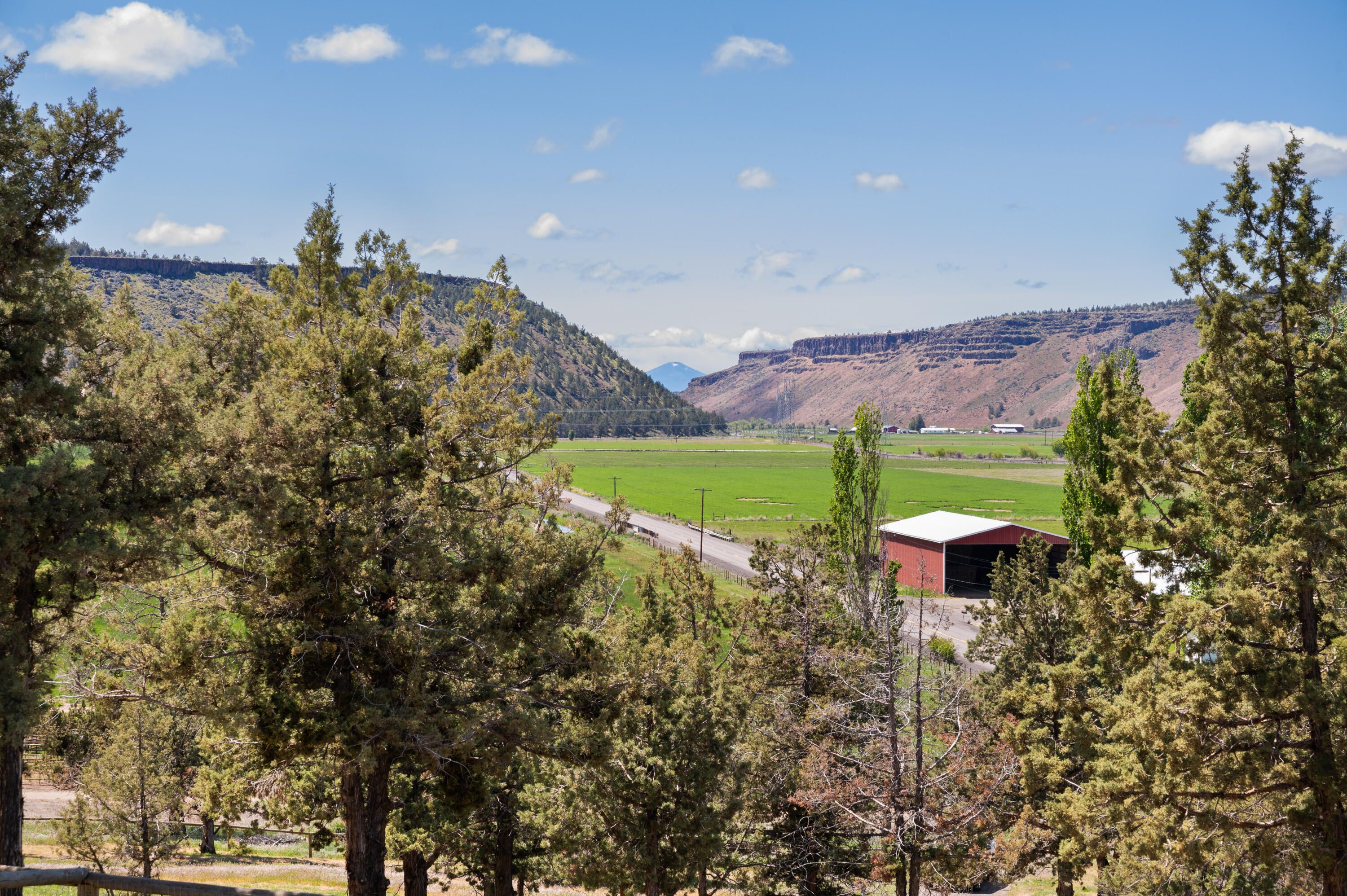 3954 NW Cattle Drive