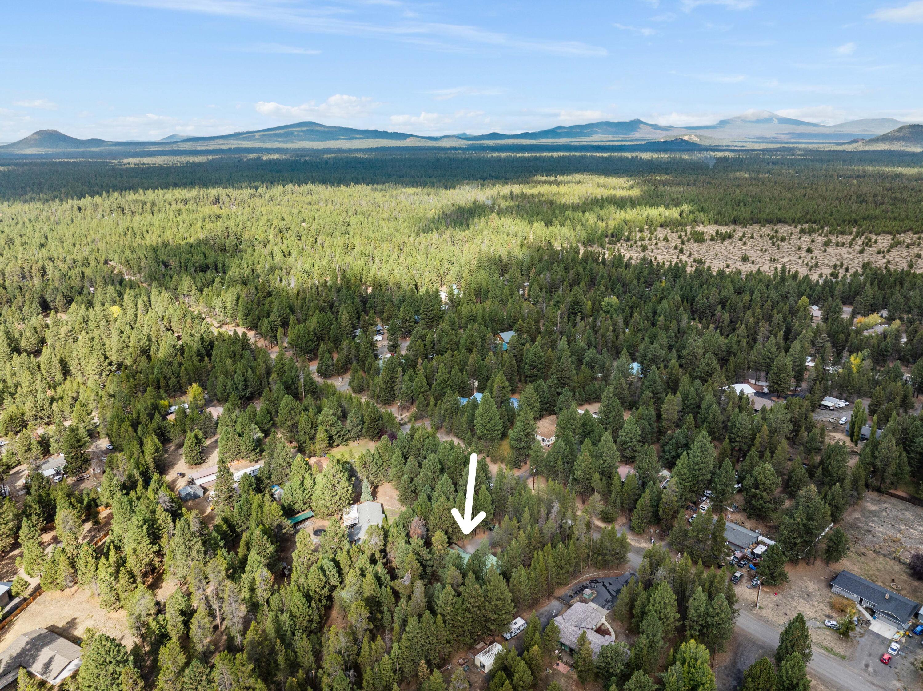 15969 Green Forest Road