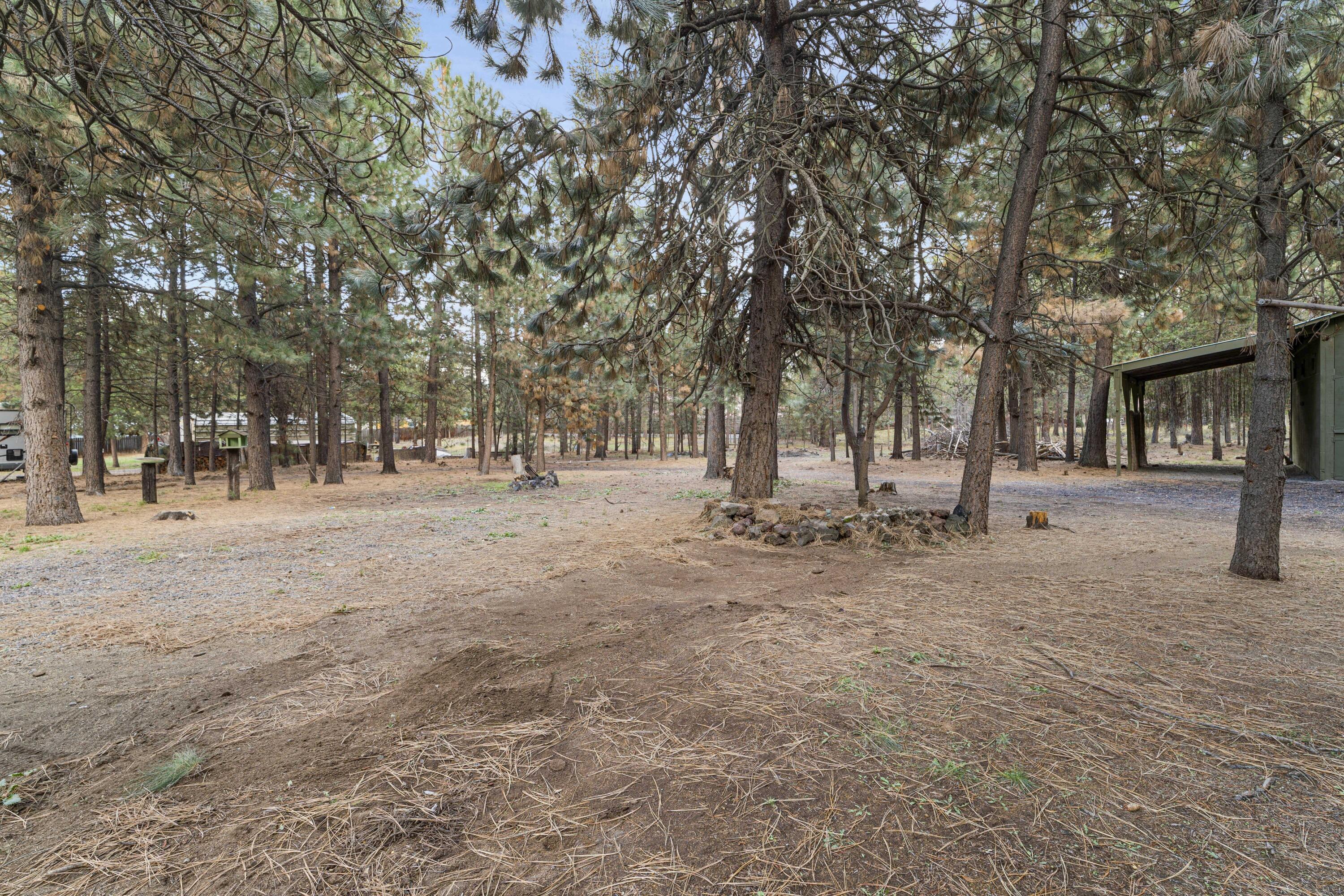 15969 Green Forest Road