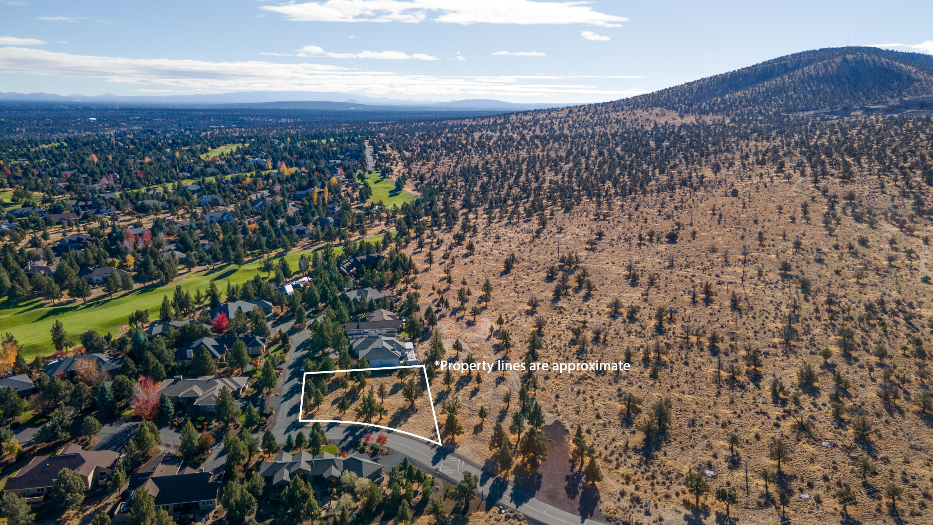 615 Solitaire Court