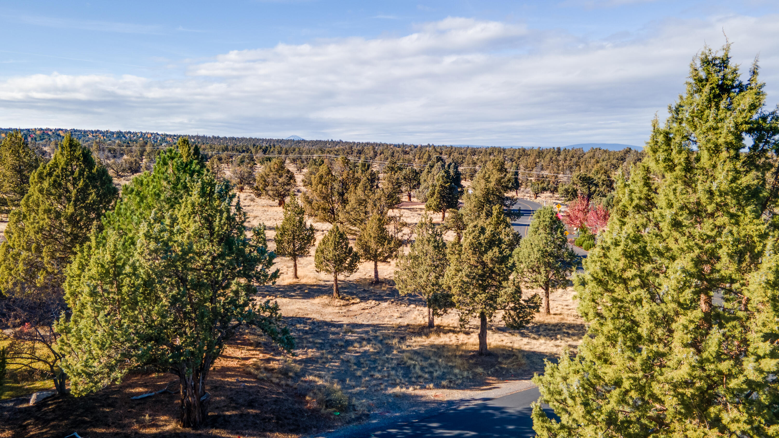 615 Solitaire Court