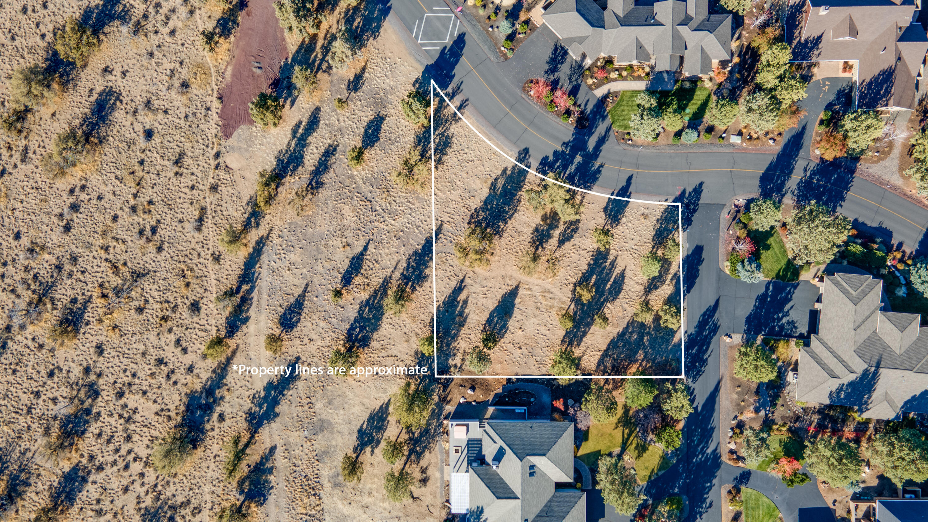 615 Solitaire Court