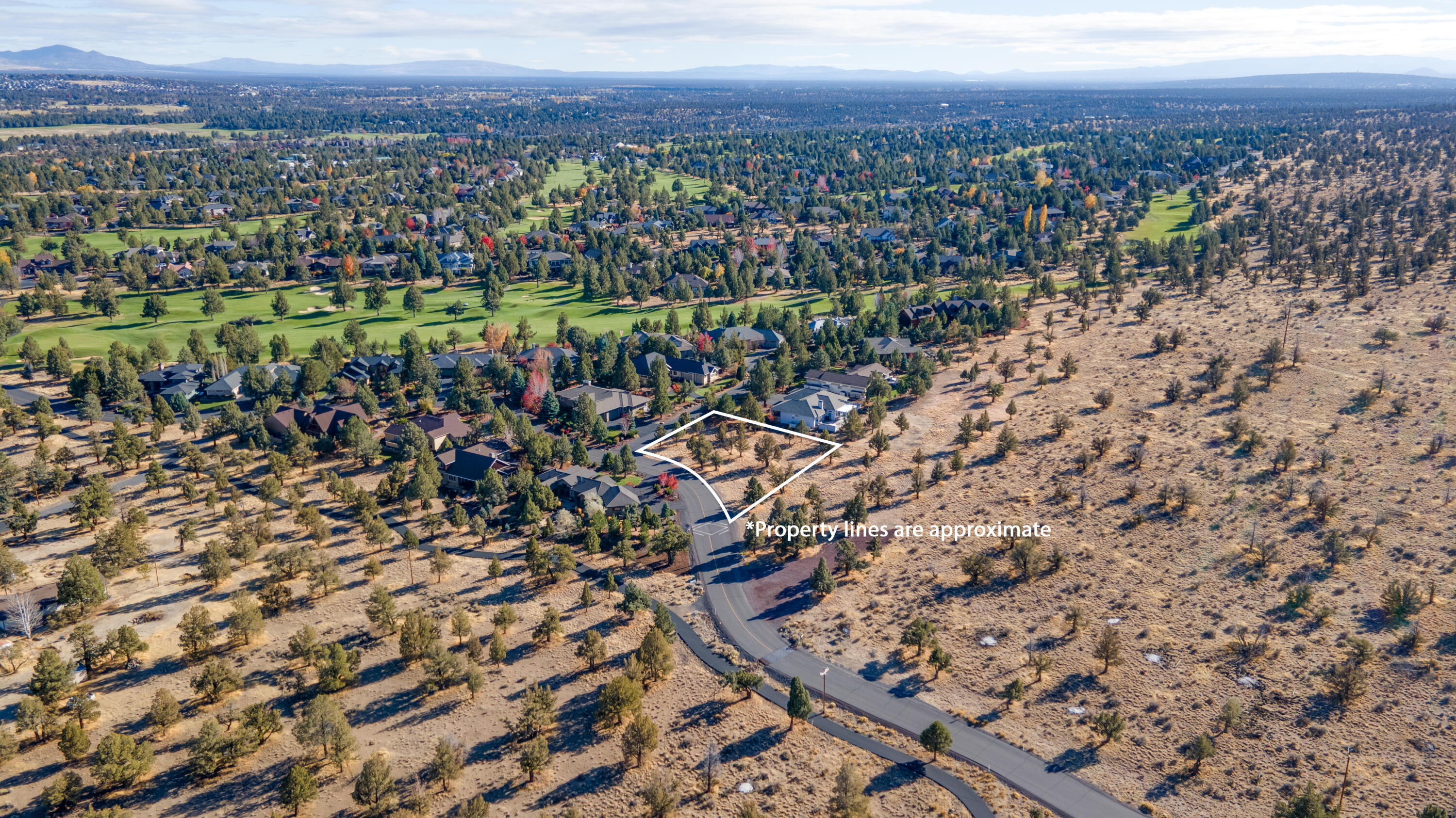 615 Solitaire Court