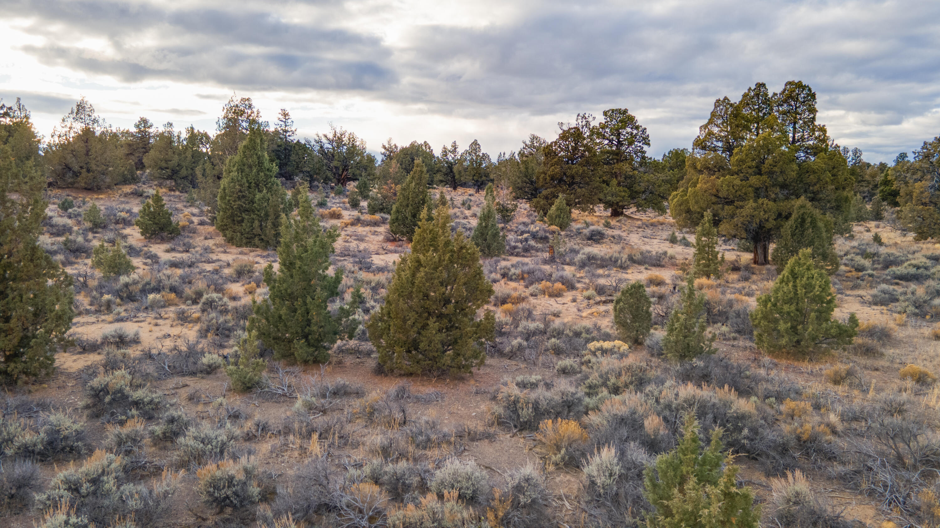 23737 Highway 20