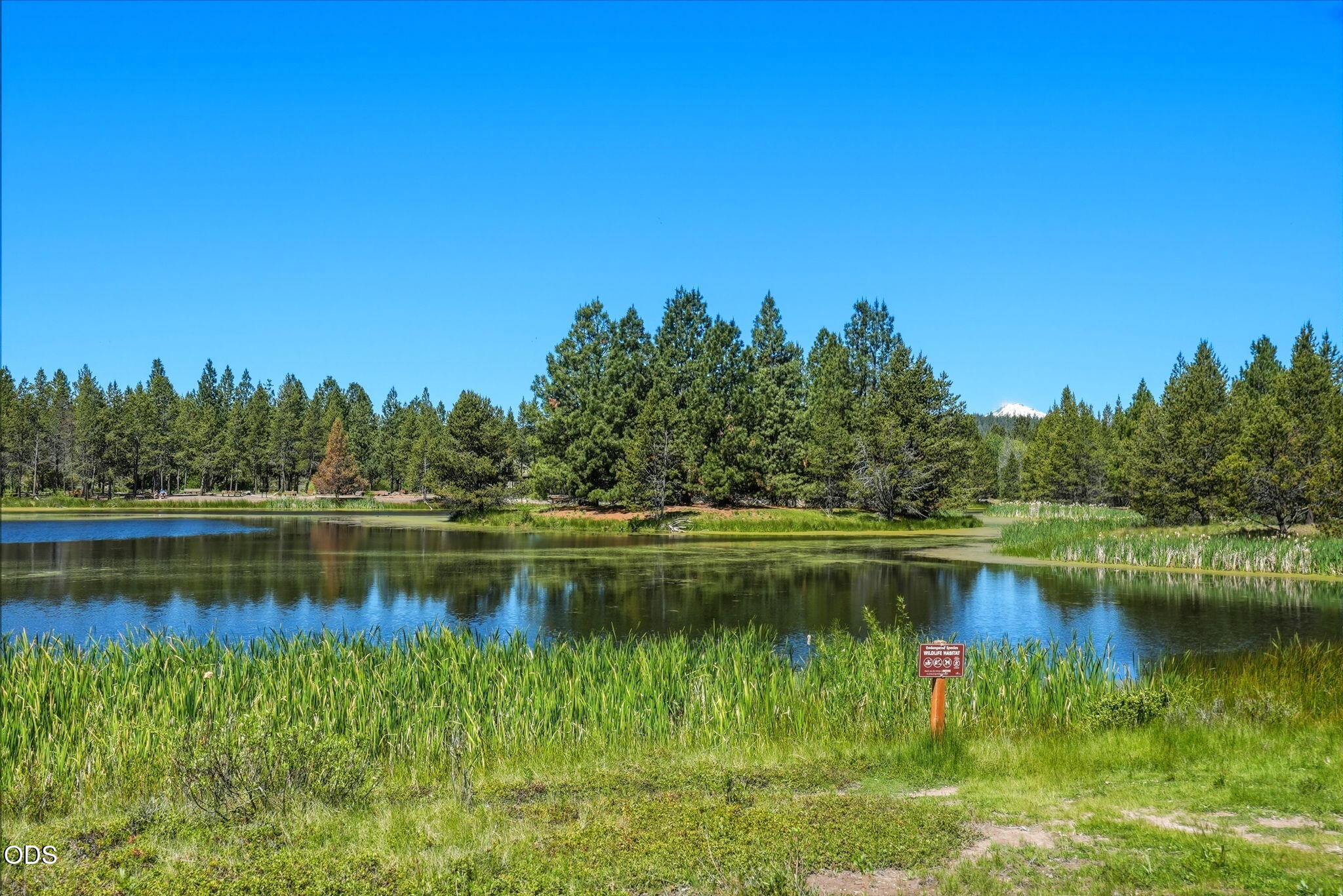 57335 Lake Aspen Lane, 4