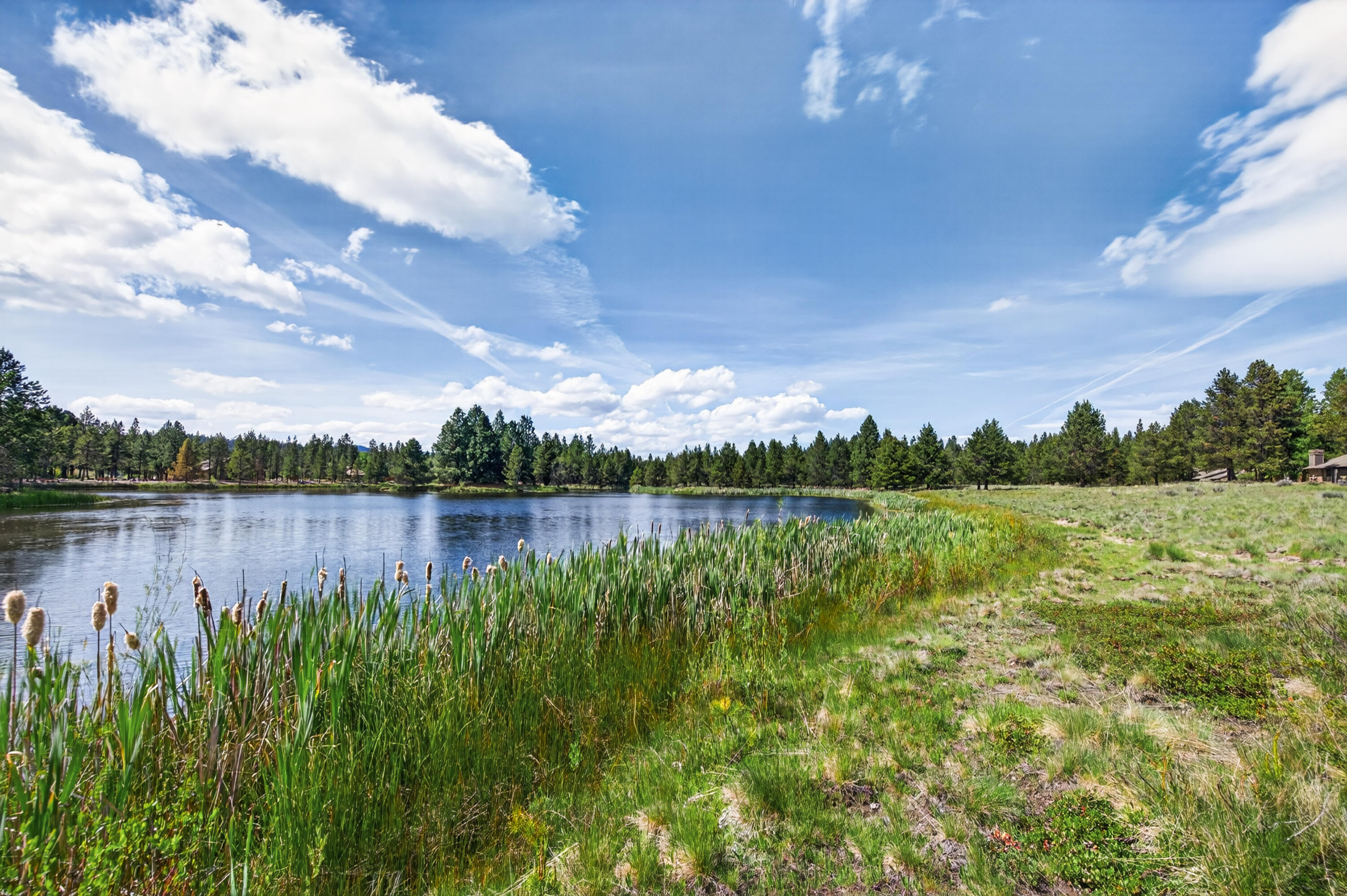 57335 Lake Aspen Lane, 4