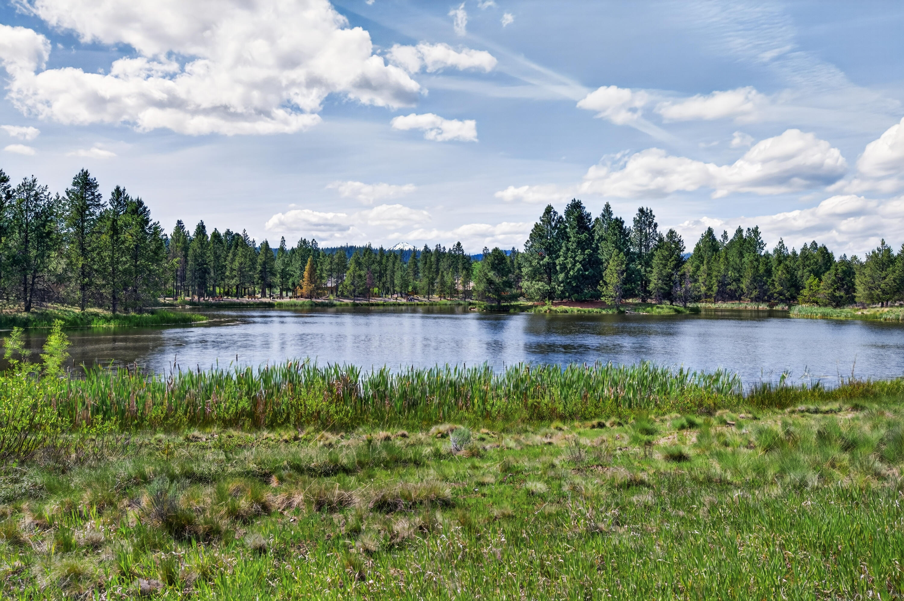 57335 Lake Aspen Lane, 4
