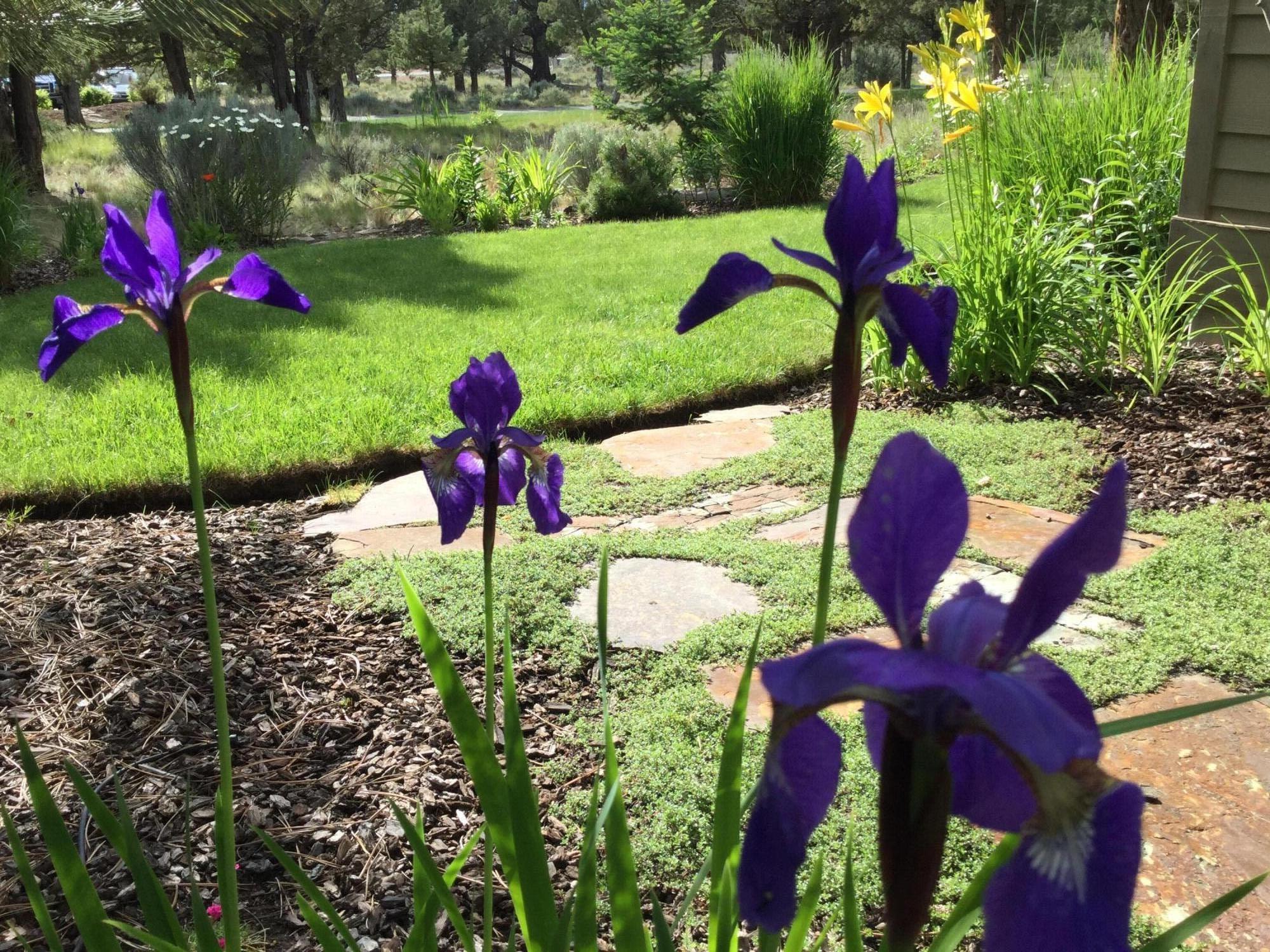 1134 Highland View Loop