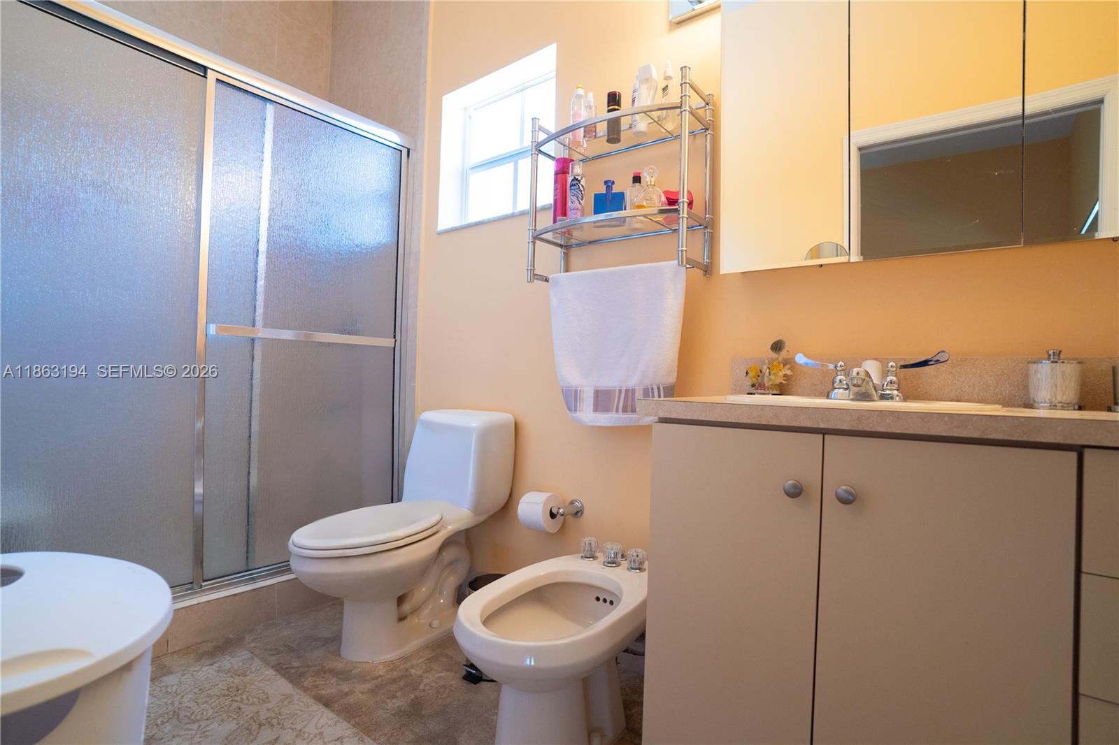 Bathroom with frosted-glass shower, toilet, bidet, and long vanity beneath mirrored cabinets.