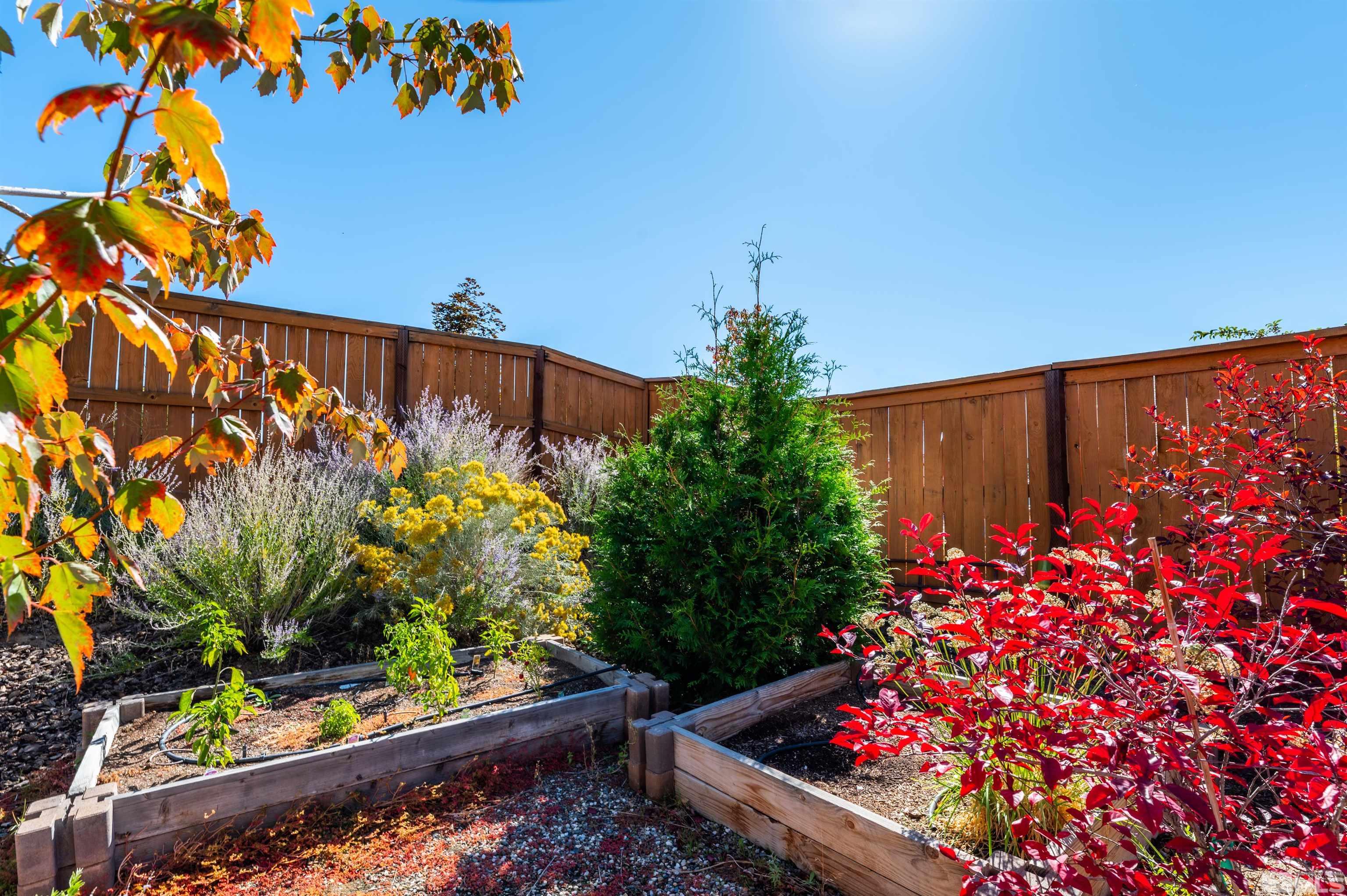 318 Desert Chukar Drive