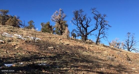 8522 Pinenut Creek Road