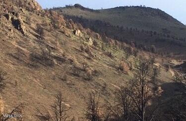 8522 Pinenut Creek Road