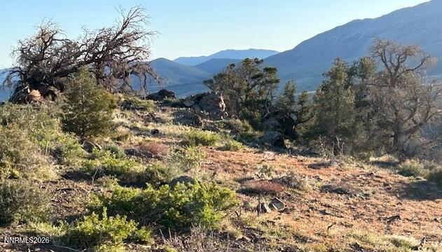 8522 Pinenut Creek Road