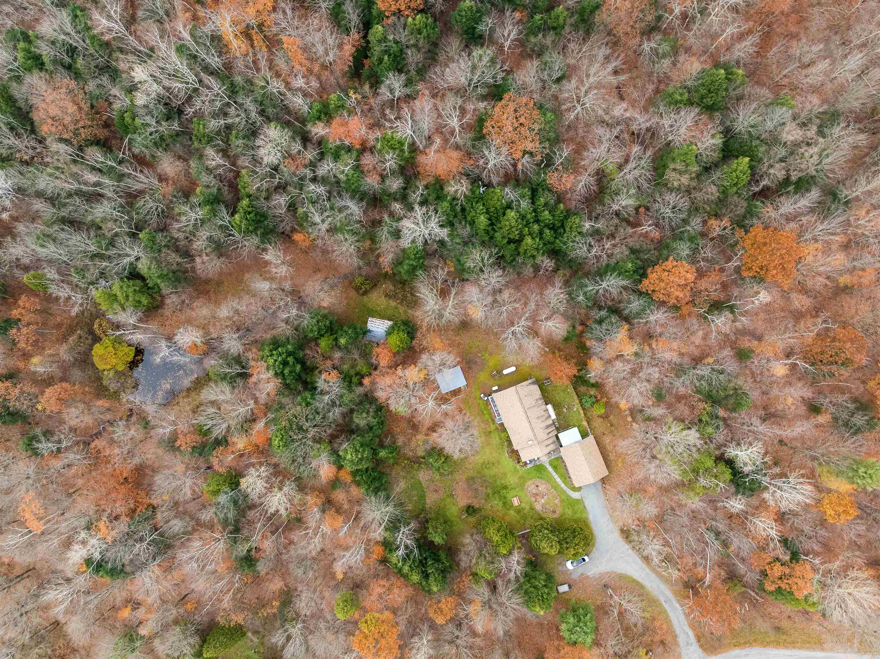 93 Shawn Drive