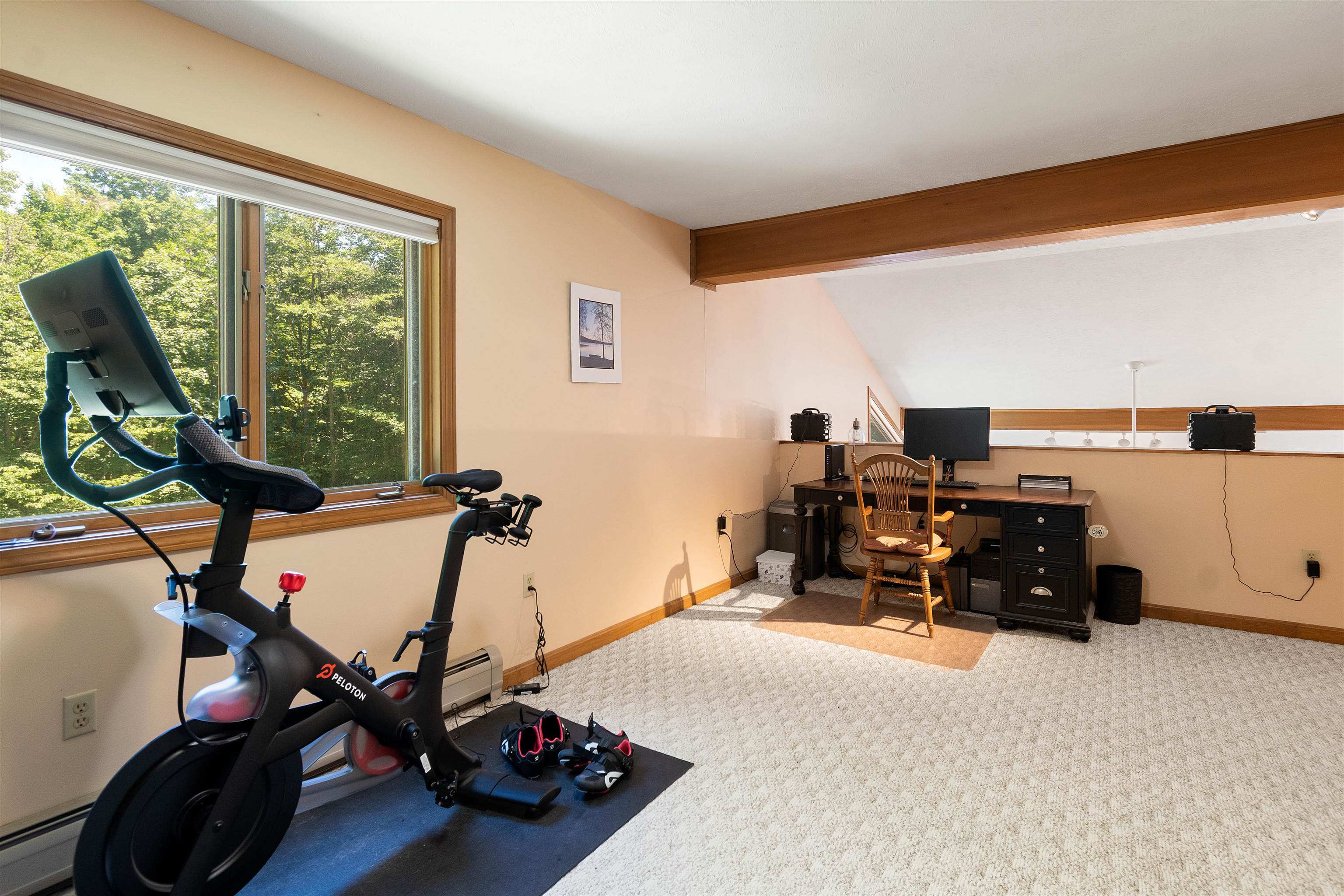 152 Shawn Drive