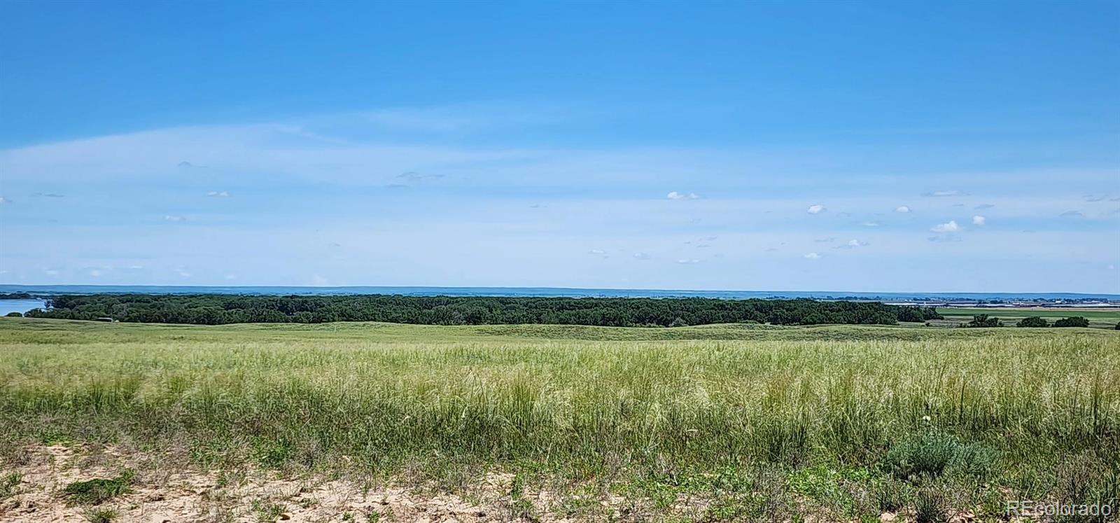 R8977763