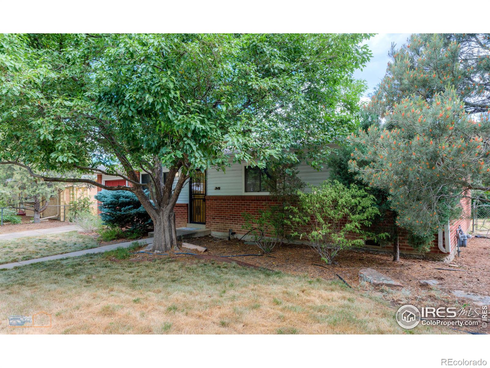 3535 Martin Drive