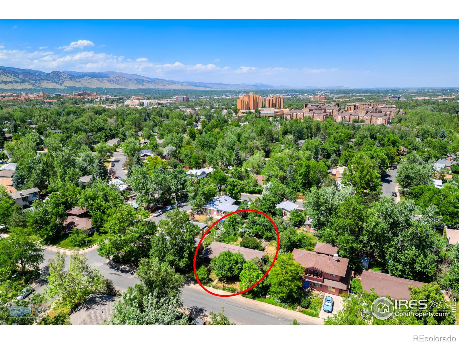 3535 Martin Drive