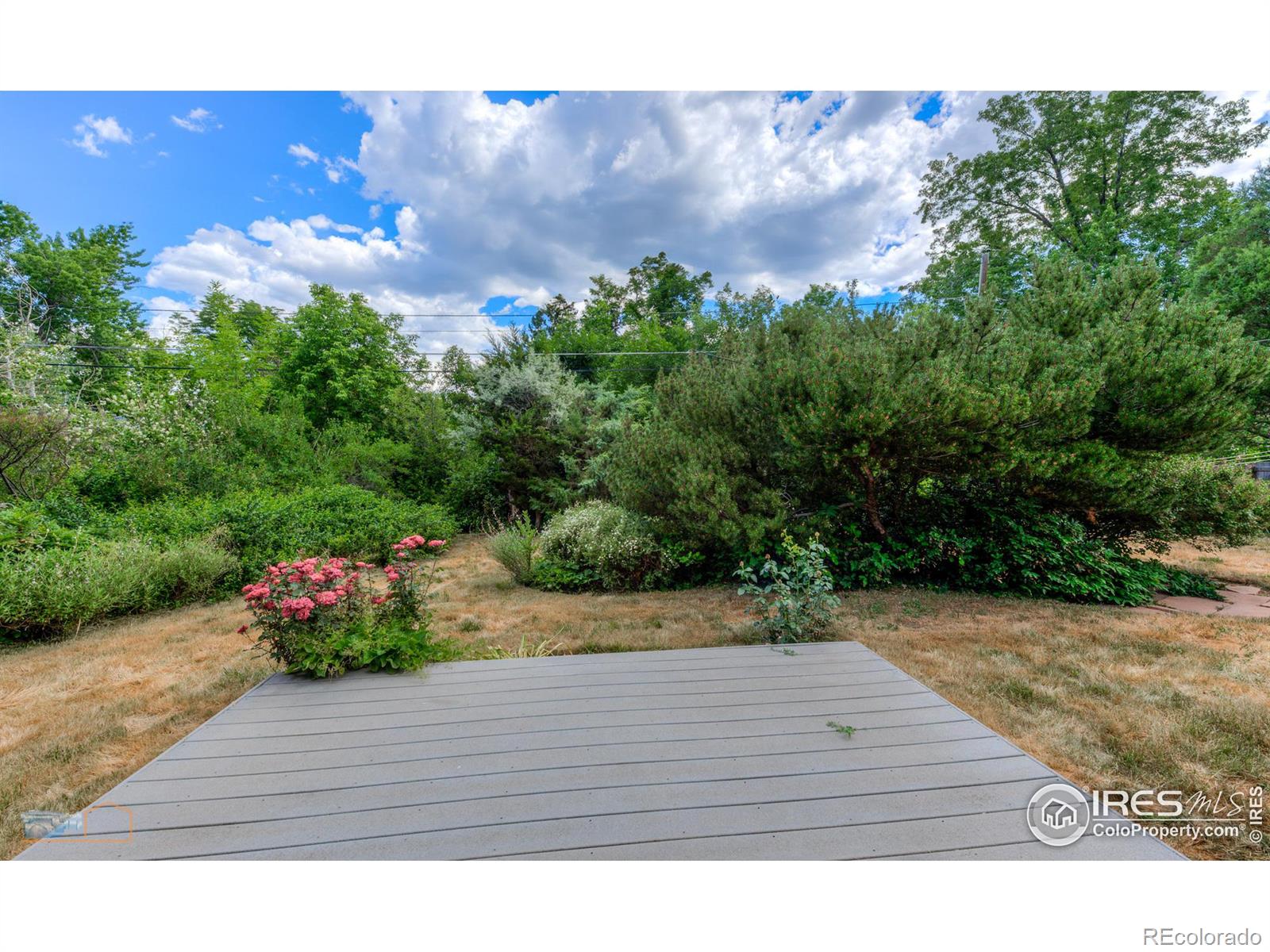 3535 Martin Drive
