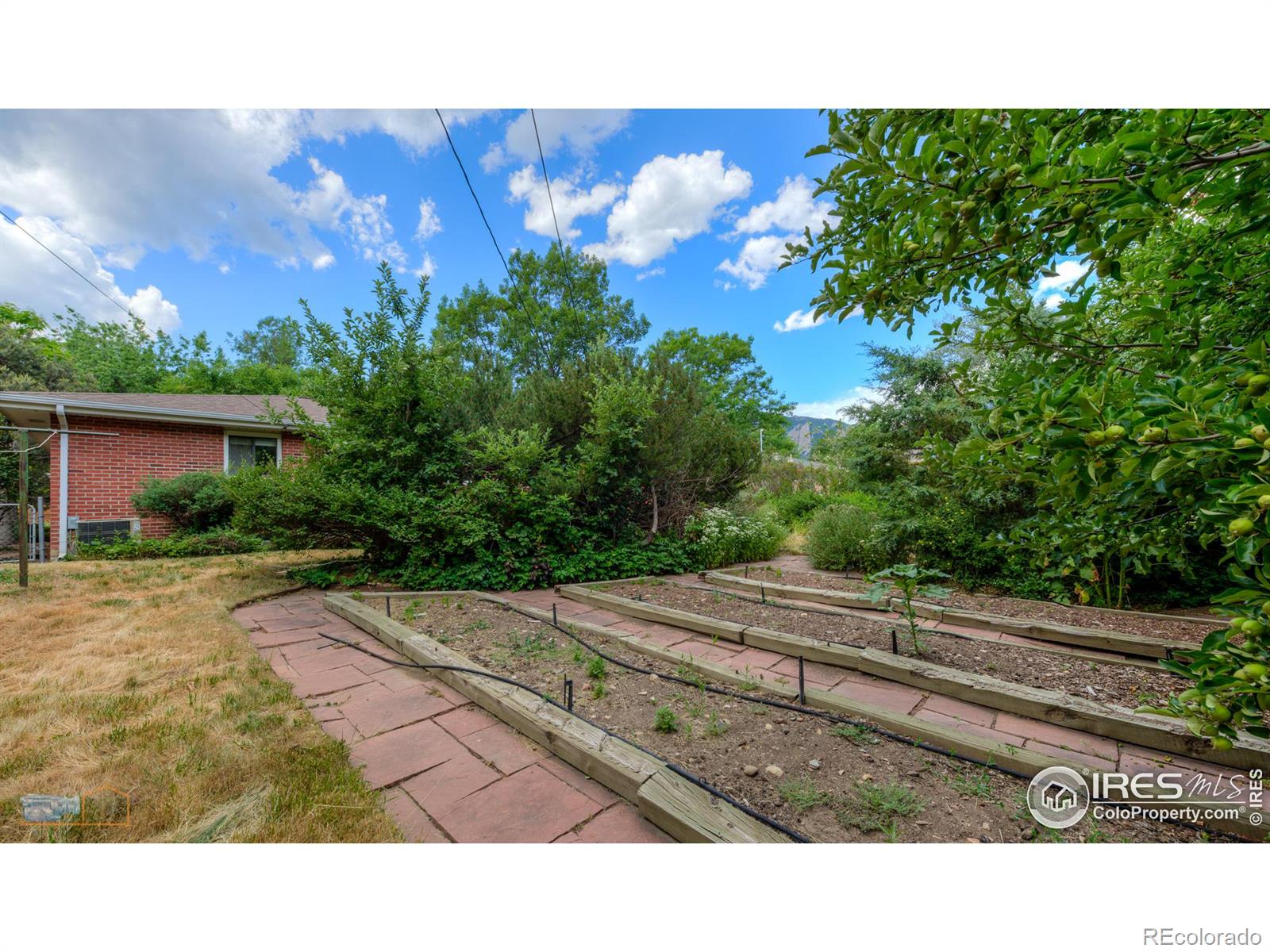 3535 Martin Drive