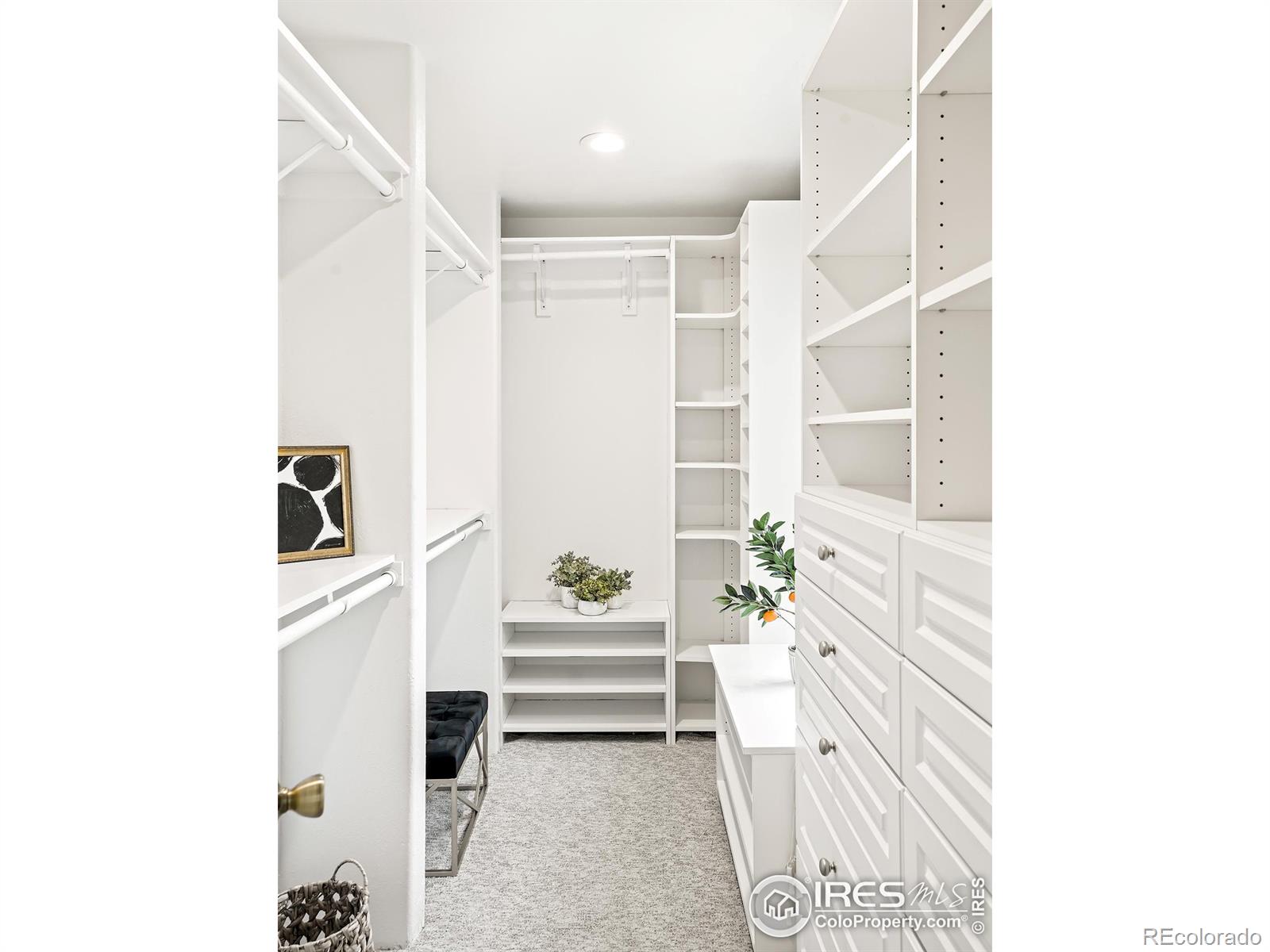 1493 McKinley Place