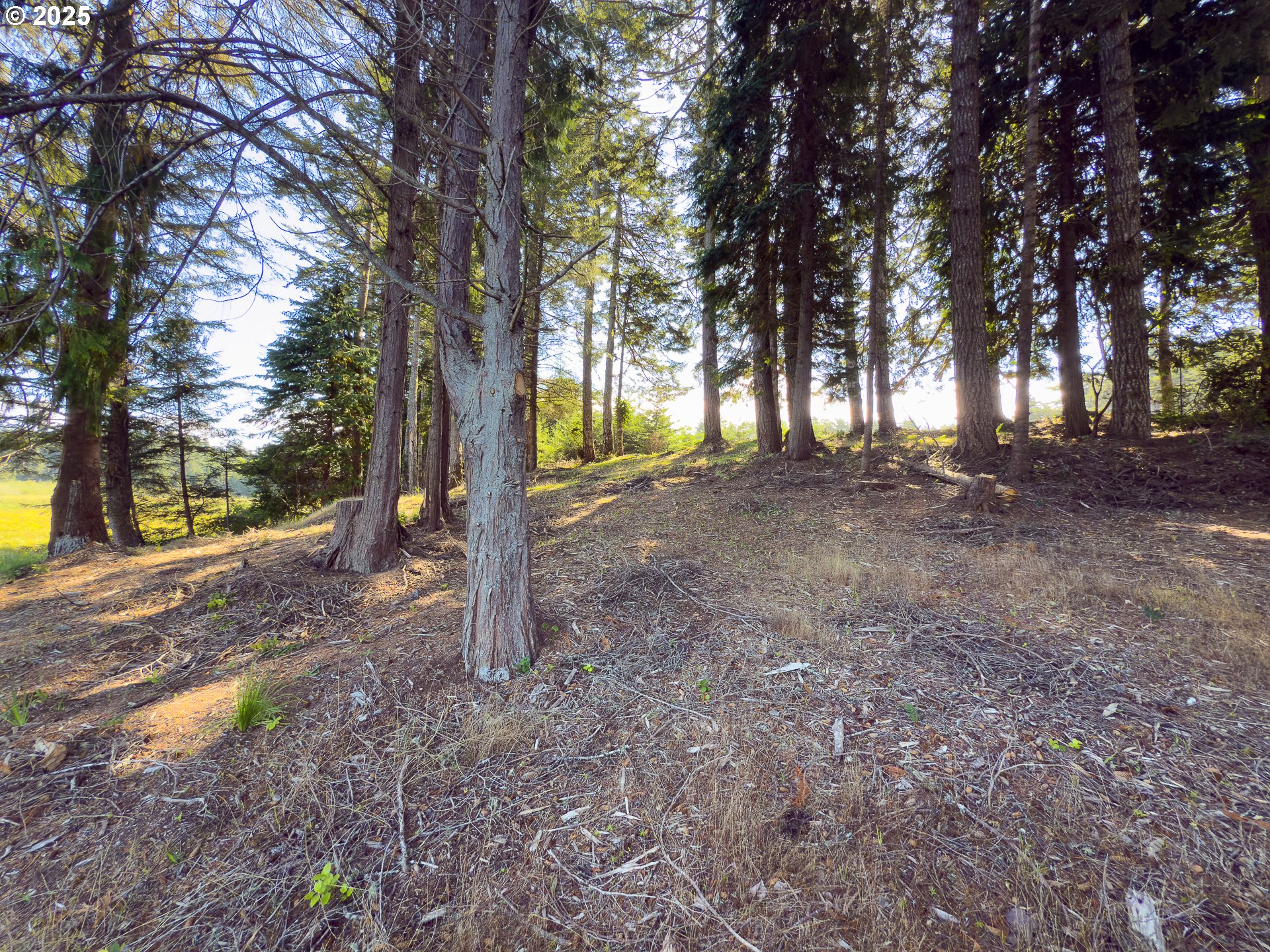 Bradley Lake LN 1601