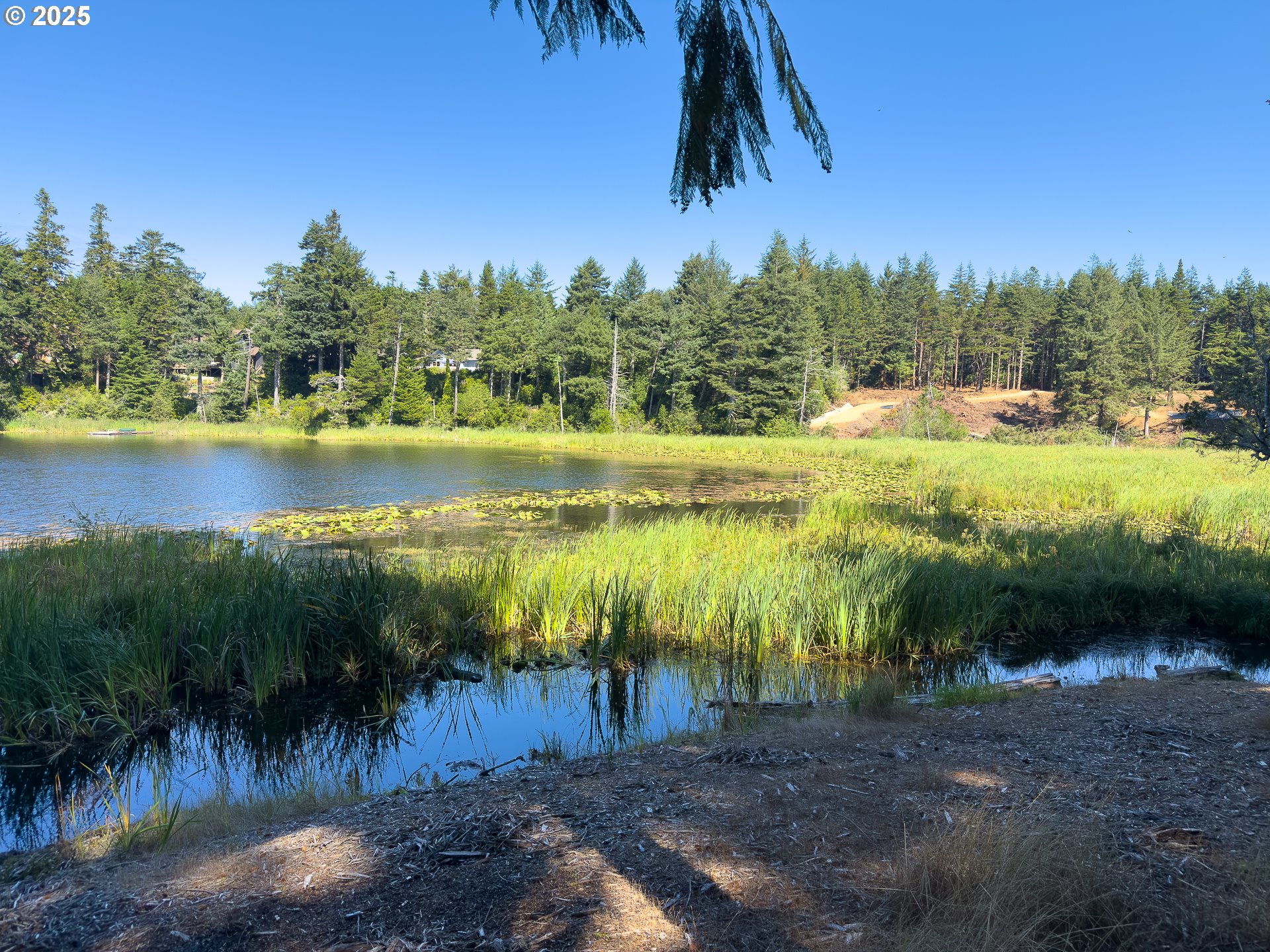 Bradley Lake LN 1601